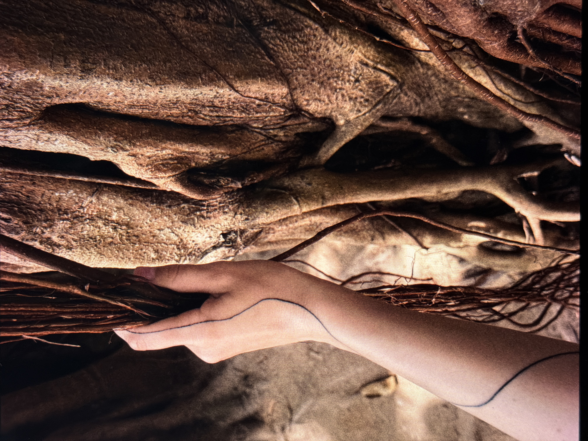 A close-up shot displays a fair-skinned hand with a thin, black, curved tattoo line on the inner forearm and wrist. The hand is grasping a bundle of thin, dark brown branches or roots. Above the hand and roots is a large, textured, brown tree root system or trunk. The background is blurred and out of focus, with mottled brown and tan tones. The lighting is dim, emphasizing the textures and details of the hand and root system. Đà Nẵng, Vietnam is not evident in the provided image.
