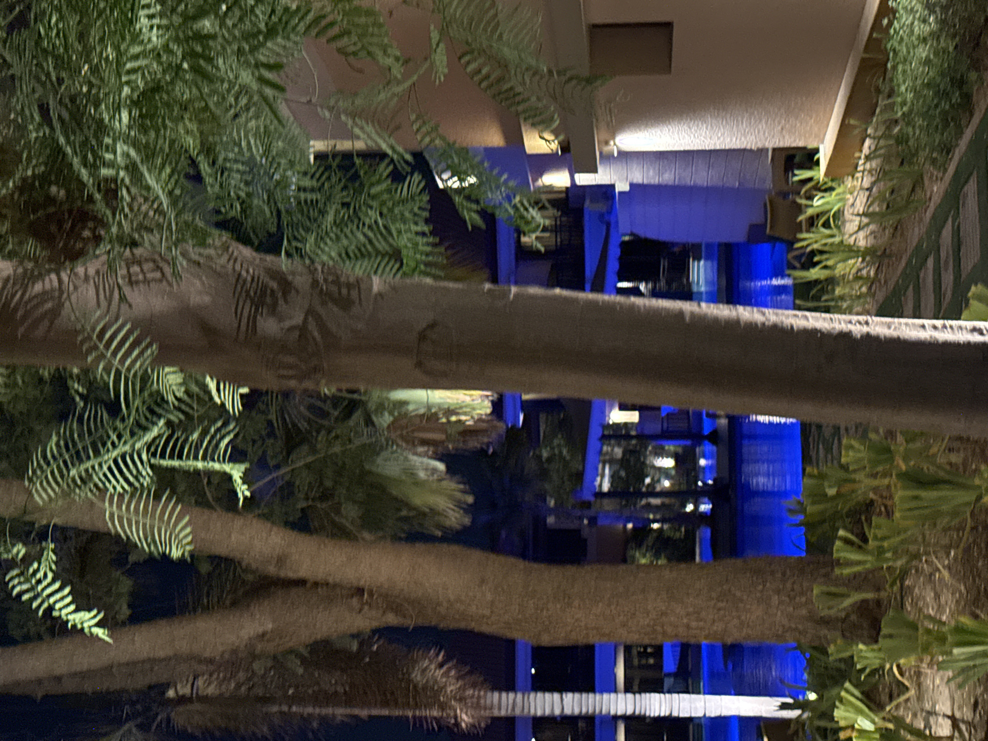 The image depicts a nighttime view of a resort or hotel complex in Dubai, United Arab Emirates. In the foreground, the trunks of several palm trees dominate the scene, with their textured bark visible. Lush green foliage, likely palm fronds and other tropical plants, is scattered throughout the image, some illuminated by artificial lights. The middle ground features a swimming pool, glowing with a vibrant blue light, suggesting underwater illumination. Beyond the pool, a multi-story building with balconies and windows can be seen. The architecture appears modern, with balconies and windows indicating living spaces. Artificial lights, some casting a warm yellow glow and others a bright white light, illuminate the building's facade and pathways. A paved walkway made of square stones is visible in the lower right portion of the image, leading into the landscaped area. The overall atmosphere is serene and luxurious, characteristic of a high-end resort experience in Dubai. No people are clearly visible in the image, suggesting the scene is captured either early in the morning, late at night, or when the area is unoccupied.