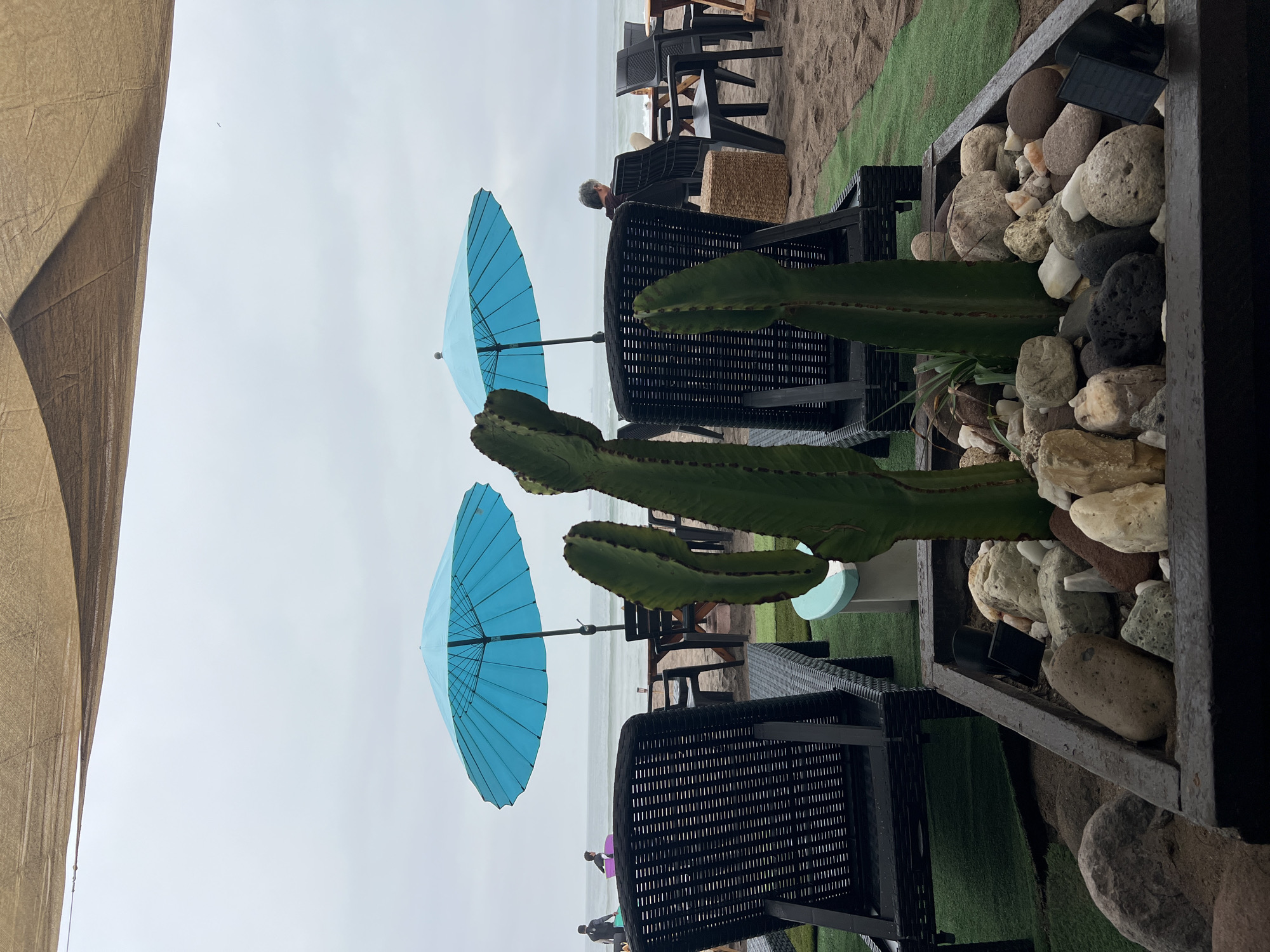 The image depicts an outdoor seating area on a beach, likely in Arica, Chile, under an overcast sky. In the foreground, a dark rectangular planter contains several large, smooth rocks and two cacti. One cactus is prominently centered, with two other cacti to its right. Behind the planter are two black woven lounge chairs. Further back, two bright turquoise beach umbrellas stand over a wooden table and chairs set on the sand. The ocean is visible in the background, with gentle waves. A few people are present: two individuals carrying surfboards walk along the shoreline, and another person sits at a table in the distance. The overall scene suggests a relaxed, possibly resort-like, atmosphere at the beach.