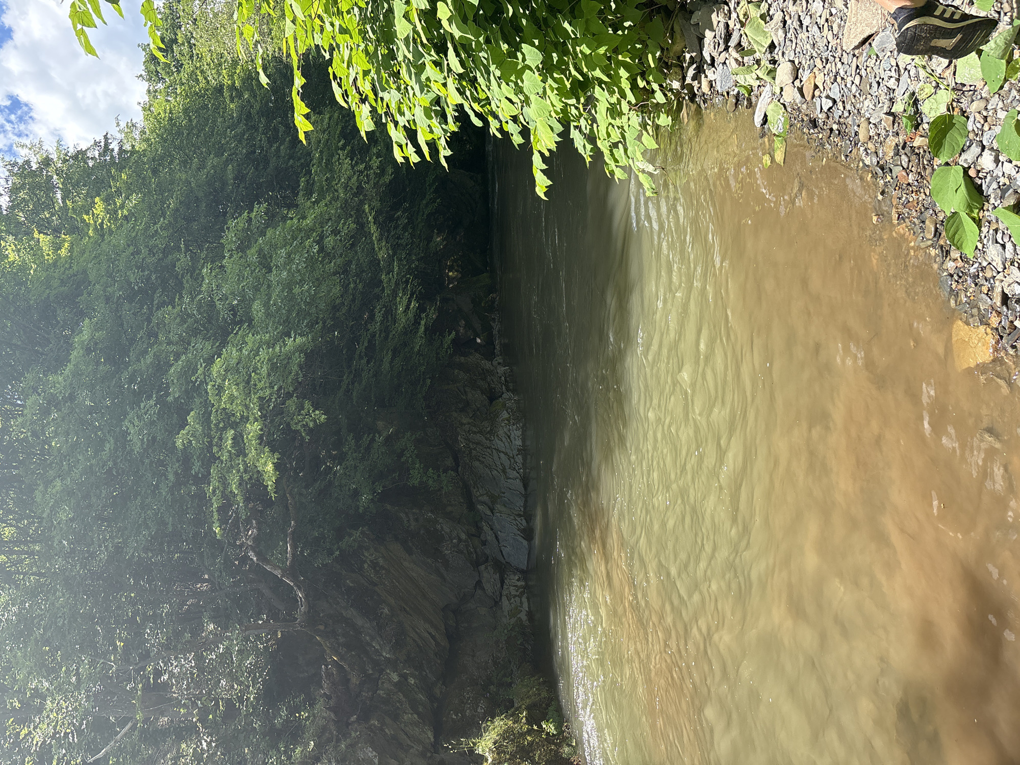 The image depicts a river flowing through a lush, green natural environment, likely in the vicinity of Lukovo, Bulgaria. The river's water has a murky, greenish-brown hue, with visible ripples and some sediment near the shore. The riverbanks are a mixture of rocky terrain and dense vegetation. On the left side of the image, a steep, rocky cliff face rises, partially covered in greenery. On the right side, a dense cluster of vibrant green leaves from a tree or shrub overhangs the water. The background is dominated by a thick canopy of trees, creating a shaded, forest-like atmosphere. The sky above is partly cloudy, with patches of blue visible through the foliage. A person's foot wearing a black and white sneaker is visible in the bottom right corner, indicating a human presence at the scene. The overall impression is one of a natural, somewhat wild setting along a river.