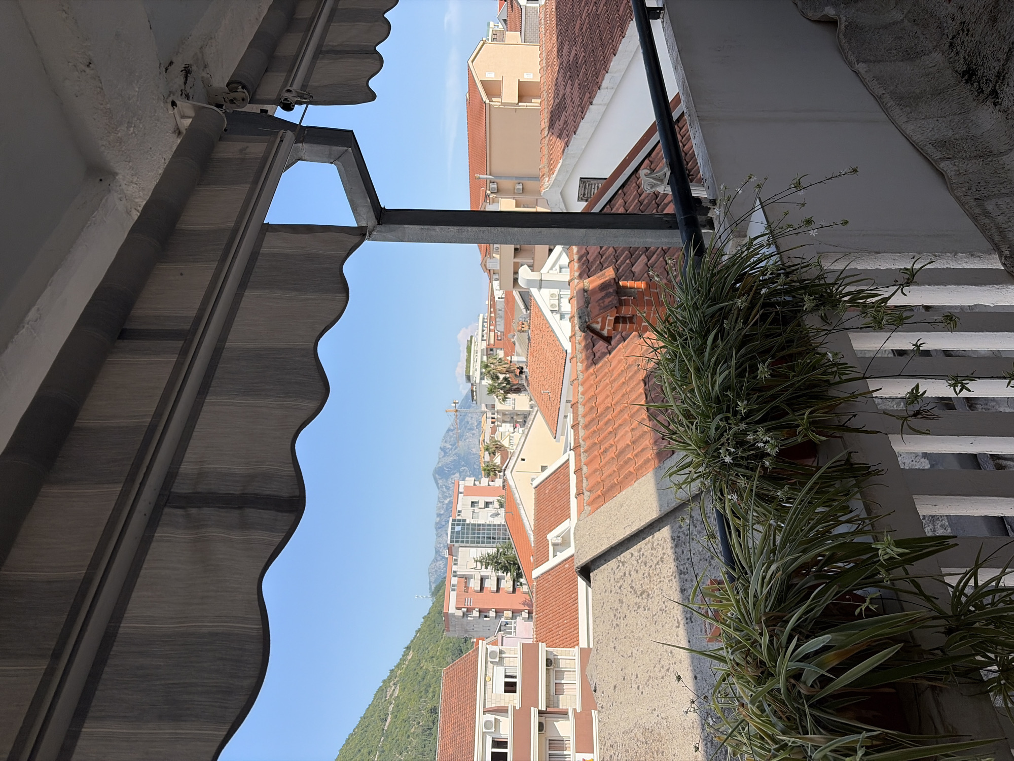 The image captures a view of rooftops and buildings in Budva, Montenegro, from what appears to be a balcony or terrace. In the foreground, a planter box filled with lush green spider plants is visible, with some of their leaves and delicate white flowers cascading over the railing. The railing itself is white, with vertical slats.
Beyond the immediate foreground, a variety of buildings with red tile roofs dominate the scene. Some of these are residential buildings with visible windows and air conditioning units. Further in the background, a larger, modern building with a glass facade stands out, and behind it, mountains can be seen under a clear blue sky. A construction crane is also present in the distance, indicating ongoing development. The overall impression is of a sunny day in a densely built urban area, likely a coastal town given the architectural style and the presence of mountains. The image is taken from a slightly elevated position, looking out over the city.