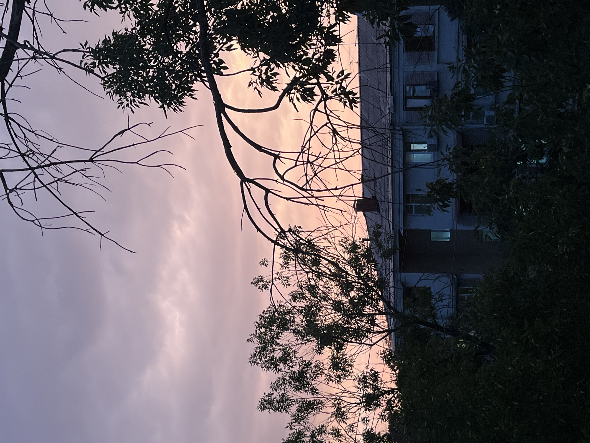 The image depicts a twilight scene with a pastel-colored sky filled with soft clouds in hues of pink and purple. In the foreground, silhouetted against the sky, are the bare branches of a deciduous tree and the dark foliage of another.
Dominating the mid-ground is a low-rise apartment building, likely situated in a residential area of Tashkent, Uzbekistan. The building appears to be constructed of concrete or brick and has a light-colored facade. Several windows are visible, some of which are illuminated from within, suggesting occupancy. A red-brick chimney protrudes from the roof. The building is partially obscured by the dense green foliage of trees and bushes in the foreground, which are also silhouetted and dark.
The overall impression is one of a quiet evening in a city, with the natural beauty of the sky contrasting with the urban architecture. The lighting suggests it is either dawn or dusk. No people are visible in the image. The scene is static and peaceful.
