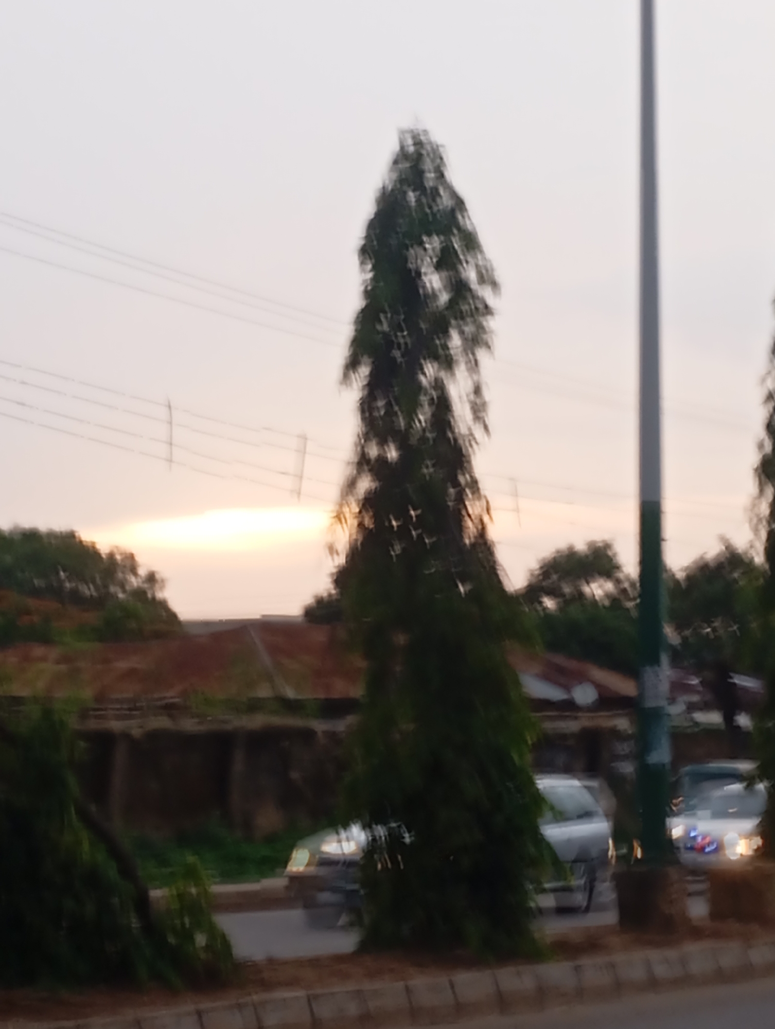 This image depicts a street scene in Jos, Nigeria, likely during a sunset or sunrise. The foreground features a paved road with a concrete median. Two cars are visible on the road; one silver sedan and another vehicle, possibly an SUV, with illuminated headlights and taillights. Lush green trees frame the right side of the scene, with a tall, slender tree prominently in the center. In the background, there are buildings with terracotta-colored roofs and what appear to be utility poles and wires stretching across the sky. The sky is a pale orange and yellow, suggesting twilight. The overall impression is that of an urban environment at dusk or dawn, with active road traffic and residential or commercial structures.