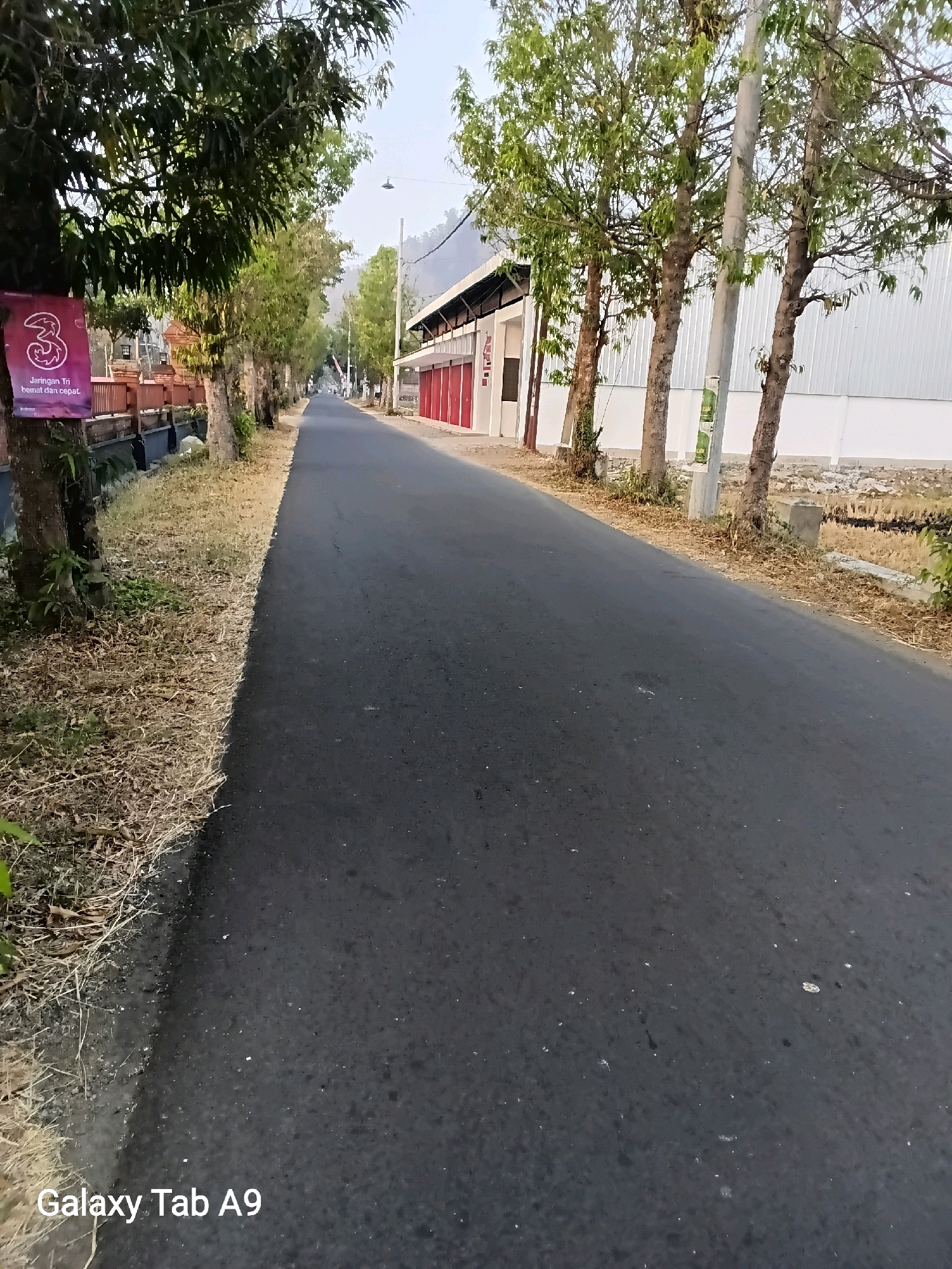 The image depicts a straight, paved road in Bendorejo, Indonesia. On the left side of the road, a sign for the telecommunications company "3" (Tri) is visible, attached to a tree. The sign is purple with a white "3" and text that reads "Jaringan Tri hemat dan cepat". Beyond the sign and trees, there is a low wall and a body of water. Further down the road, on the right side, is a row of buildings with red doors. The road is lined with trees and dry grass. The sky is overcast, and the overall impression is of a quiet, rural street scene.