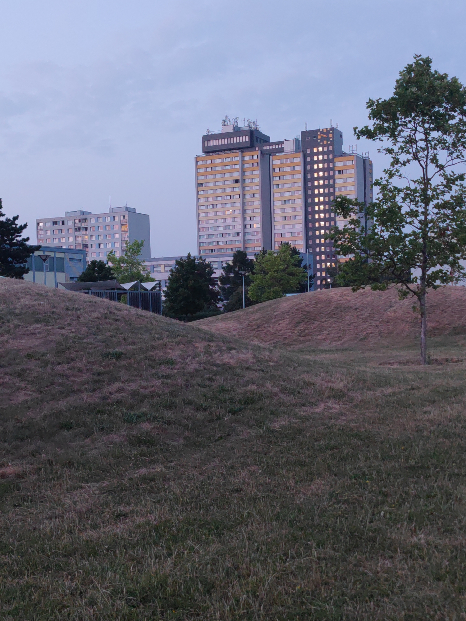 The image captures a view of apartment buildings in Prague, Czechia, set against a dusky sky. In the foreground, a grassy hill slopes upwards, with dry grass and some sparse green patches. The middle ground features a covered seating area with a fence and a few trees. Dominating the background are several multi-story apartment buildings, some with yellow and gray facades, showing illuminated windows. A single tree with green leaves stands to the right of the frame. The overall scene suggests a residential area in the late evening or early morning.
