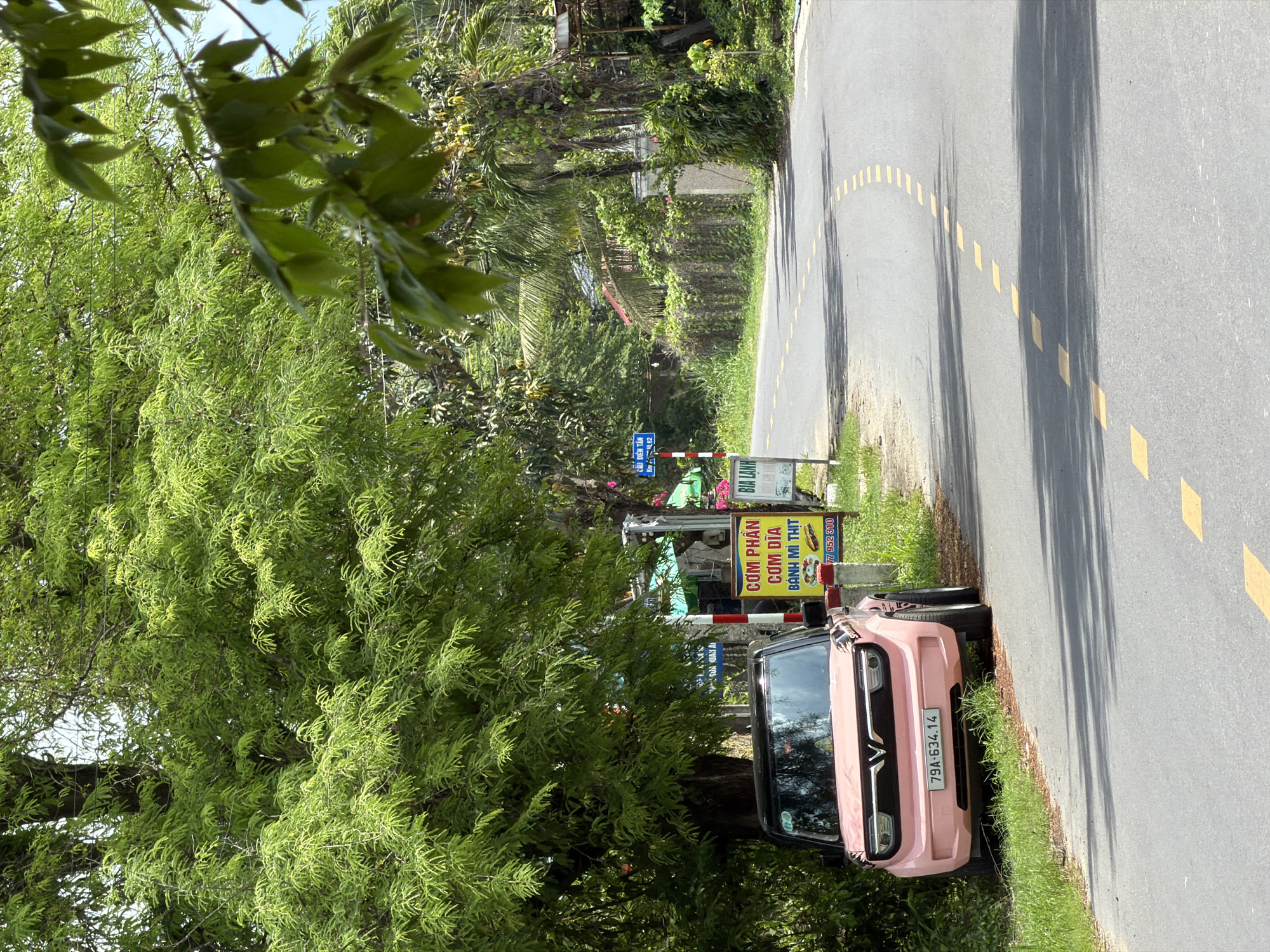 A light pink electric vehicle is parked on the grassy shoulder of a paved, winding road in Diên Thọ, Vietnam. The car, a Wuling Hongguang Mini EV, faces left and has its headlights on. A Vietnamese license plate reading "79A-634.14" is visible on the front. To the right of the car, a yellow sign with Vietnamese text and an image of food is affixed to a pole. A smaller blue sign with white text is also mounted on a pole further down the road. The road is marked with dashed yellow lines. Lush green trees overhang the scene from the left and right. The environment appears to be rural or suburban, with vegetation and buildings visible in the background along the right side of the road. Sunlight casts shadows across the road.