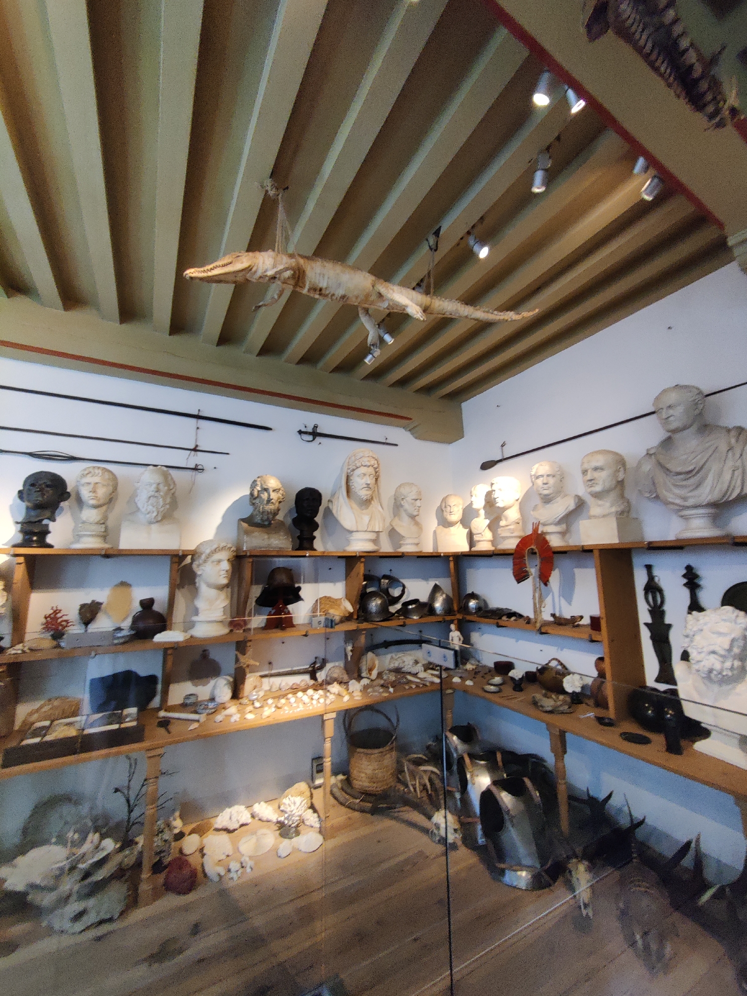 The image depicts the interior of a museum or exhibition space, likely in Amsterdam, Netherlands. The scene is filled with display shelves containing various artifacts and exhibits. Prominently featured are numerous busts of historical figures, arranged on shelves and pedestals. Above the shelves, what appears to be a preserved alligator or crocodile skeleton is suspended from the ceiling. The walls are adorned with spears and swords, suggesting a historical or archaeological theme.
The display shelves are made of wood and are sparsely populated with a variety of objects including what appear to be shells, fossils, pottery, and possibly armor pieces. The lighting in the room appears to be a mix of natural light and spotlights mounted on the ceiling. The floor is wooden. There are no people visible in the image, indicating the museum is either closed or the photograph was taken at a time when the area was empty. The overall impression is one of a well-curated collection of historical and natural history items.