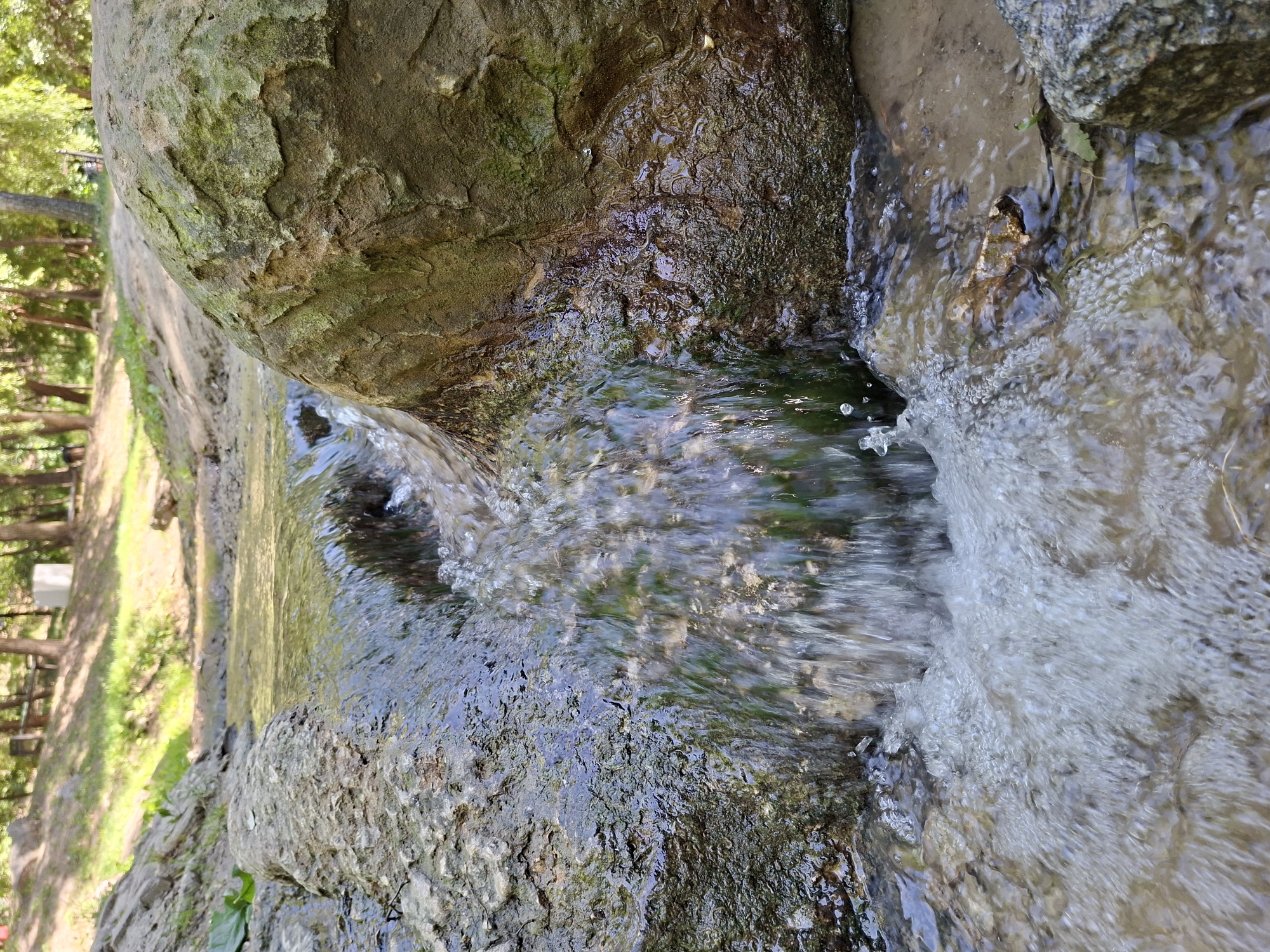 This is a close-up, low-angle shot of a small stream flowing over rocks in a park-like setting. The water is clear and appears to be flowing gently. The rocks are covered in moss and lichen, suggesting a damp environment. In the background, trees and a grassy slope are visible, indicating an outdoor location, likely a public park. The image does not depict any people or specific identifiable landmarks.
Based on the visual cues, this scene could be located in a natural or semi-natural area within Chișinău, Moldova, such as one of its many parks or green spaces that feature water elements. For example, the Dendrarium Park, or the Valea Trandafirilor park might contain similar streams and rocky outcrops. Without further information or distinctive markers, pinpointing the exact location is not possible.