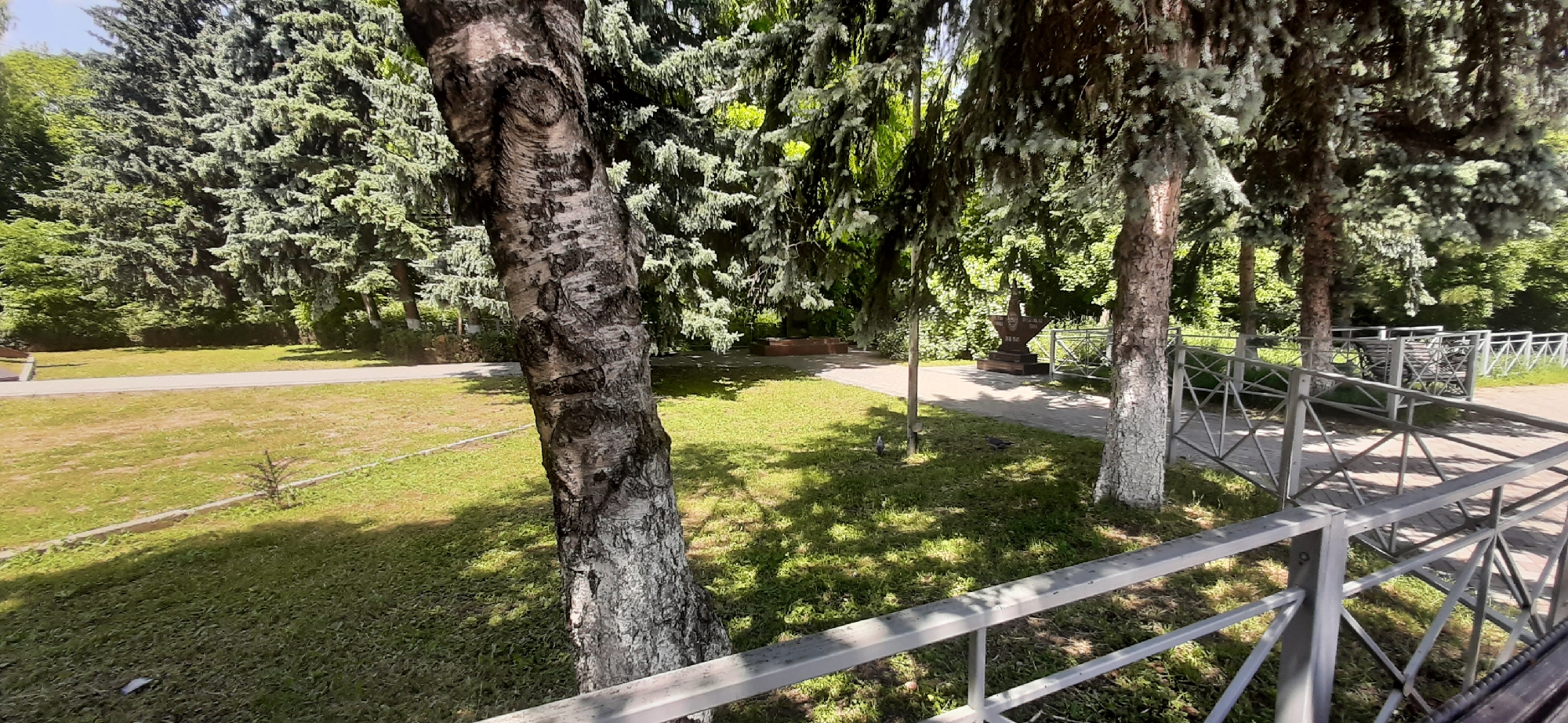 The image depicts a park setting, likely a memorial or historical site, on a sunny day. The foreground is dominated by a large, rough-barked tree with a distinctive knot pattern on its trunk. A light-colored metal fence with a geometric criss-cross design runs along the right side of the frame, partially obscuring a paved pathway. Beyond the pathway, a manicured lawn is visible, with scattered trees and what appear to be memorial structures. In the middle ground, a prominent dark stone monument shaped like a five-pointed star stands on a pedestal, with an inscription on its base. Further in the background, more trees and dense foliage create a natural backdrop. The lighting suggests it is daytime, with shadows cast by the trees indicating sunlight filtering through the canopy. The environment appears peaceful and well-maintained, suggesting a public space for reflection or recreation.