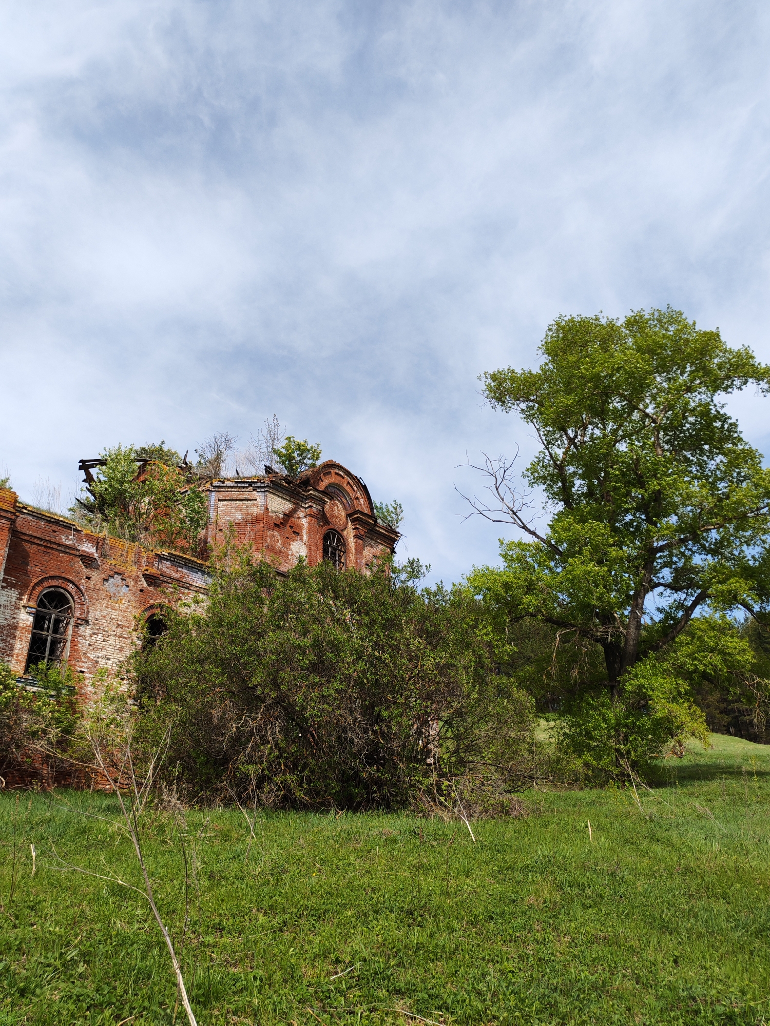 The image depicts a dilapidated brick building, likely a church, located in Крынды, Russia. The structure is overgrown with vegetation, including trees and shrubs sprouting from the walls and roof. The building's brick facade is weathered and crumbling, revealing signs of disrepair and abandonment. The sky is visible overhead, featuring scattered clouds. In the foreground, there is a grassy field with various plants and vegetation. A large tree stands to the right of the building, adding to the overall impression of nature reclaiming the abandoned structure. There are no people present in the scene.
