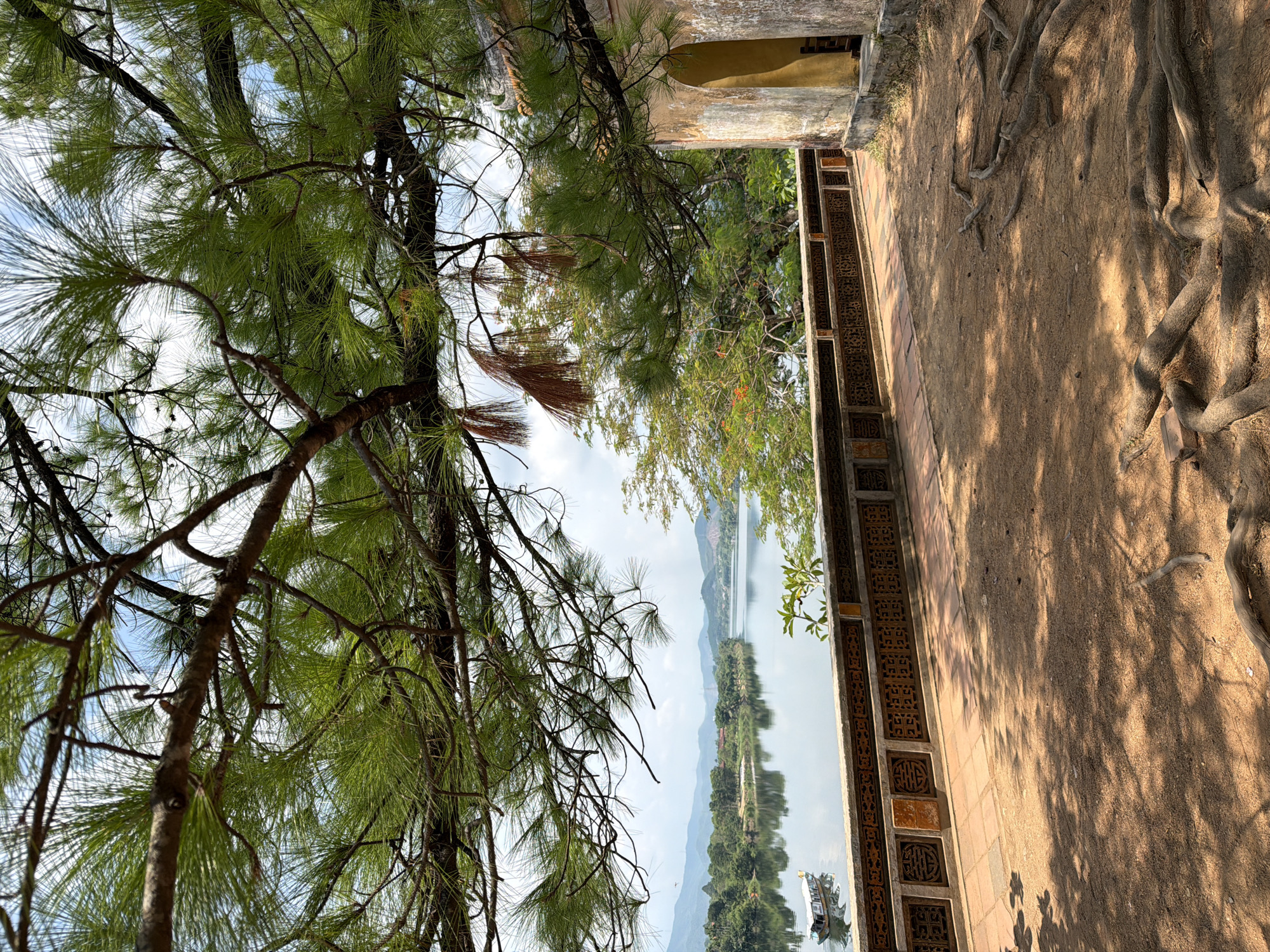 A vertical, eye-level shot captures a scenic view of a river in Kim Long Ward, Vietnam, framed by the branches of a large pine tree. The foreground is dominated by the tree's needles and branches, with a weathered, sandy ground covered in exposed tree roots. To the right, a section of an aged, ochre-colored building with an arched opening is visible. A decorative stone wall with intricate geometric patterns runs along the edge of a pathway paved with terracotta tiles, separating the foreground from the river. The tranquil river, reflecting the sky and distant green hills, is dotted with a single long, narrow boat. The overall scene evokes a sense of historical serenity and natural beauty.