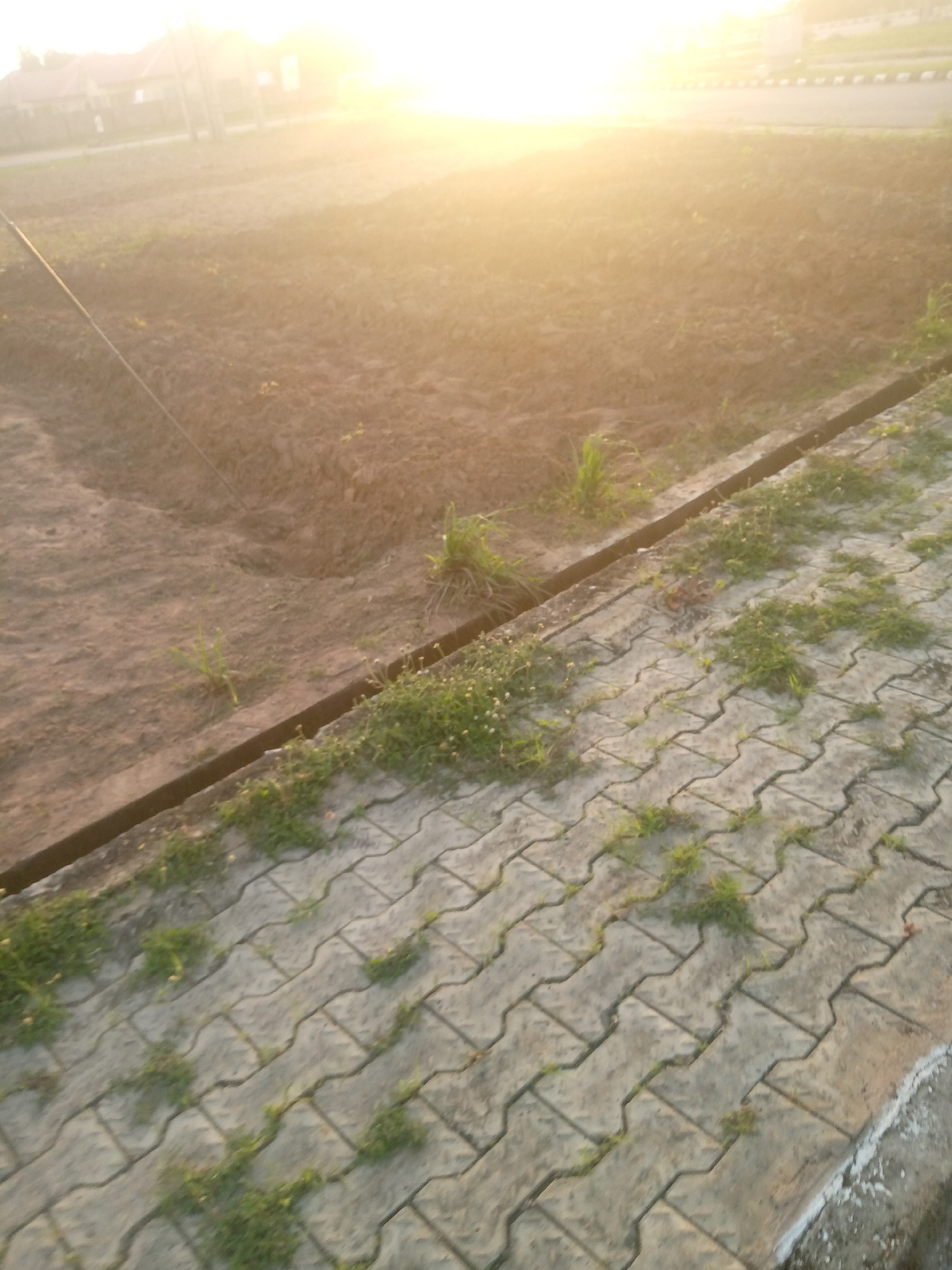 The image depicts an outdoor scene with a clear emphasis on the ground and its immediate surroundings. The foreground is dominated by a paved walkway made of interlocking concrete blocks, characterized by a light gray color and an "S" or "figure-eight" pattern. Patches of green grass are growing in the crevices between these blocks. To the left of the walkway, there is a trench or ditch with dark soil and some sparse, low-lying green vegetation. Beyond the trench, the ground appears to be tilled earth, showing brown soil with some small, scattered green shoots. In the background, a bright, hazy sun is visible, casting a warm, golden light across the entire scene, suggesting it might be sunrise or sunset. The bright light obscures details in the far background, but hints of buildings and possibly trees or utility poles can be discerned. The overall impression is a somewhat undeveloped or transitional area within Jauro Yinu, Nigeria, where a paved pathway meets a cultivated or cleared plot of land.