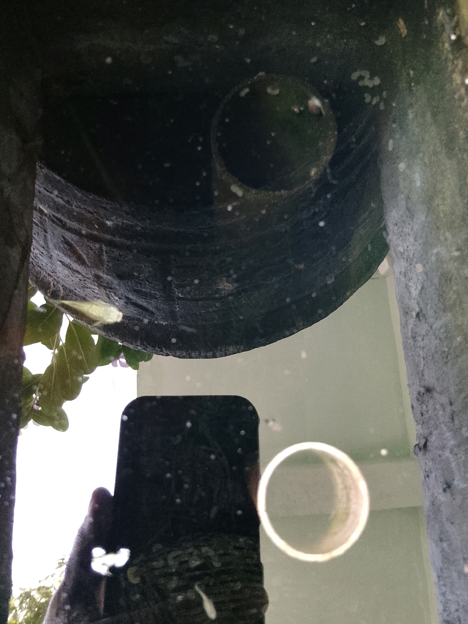 The image depicts a reflection in water, likely from a pond or a shallow body of water in a garden. The reflection shows a dark, textured surface above, possibly a decorative element or part of a structure. Below this, a bright, pale green surface is visible, indicating the water's surface or a light-colored background. A smartphone is reflected prominently in the water, held by a hand that is also partially visible. The hand appears to be operating the phone, possibly taking a photograph or video. The surrounding environment shows glimpses of foliage and trees, suggesting an outdoor setting. There is no explicit indication of Pasuruan, Indonesia, within the visual elements of the image itself.