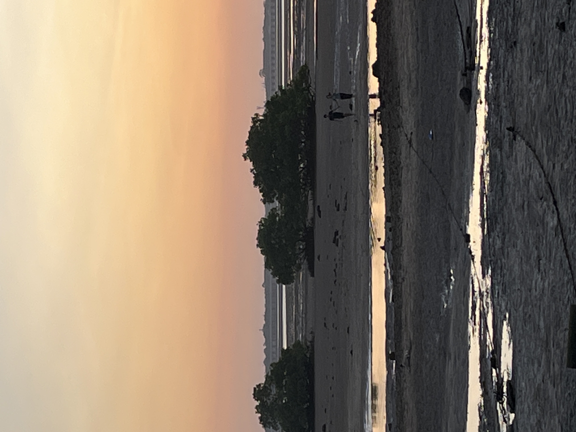 The image shows a coastal scene, likely at low tide, with a wide expanse of exposed mudflat or beach. The sky is a gradient of light yellow to pinkish-orange, suggesting sunrise or sunset. Three tree groupings are visible on the exposed sand, with two people standing next to them. In the distance, city buildings are seen, but the focus is on the flat, wet landscape and the sky. The scene suggests an interaction between nature and the urban environment. The image likely captures the low-tide beach landscape of Kuta Selatan, Indonesia.