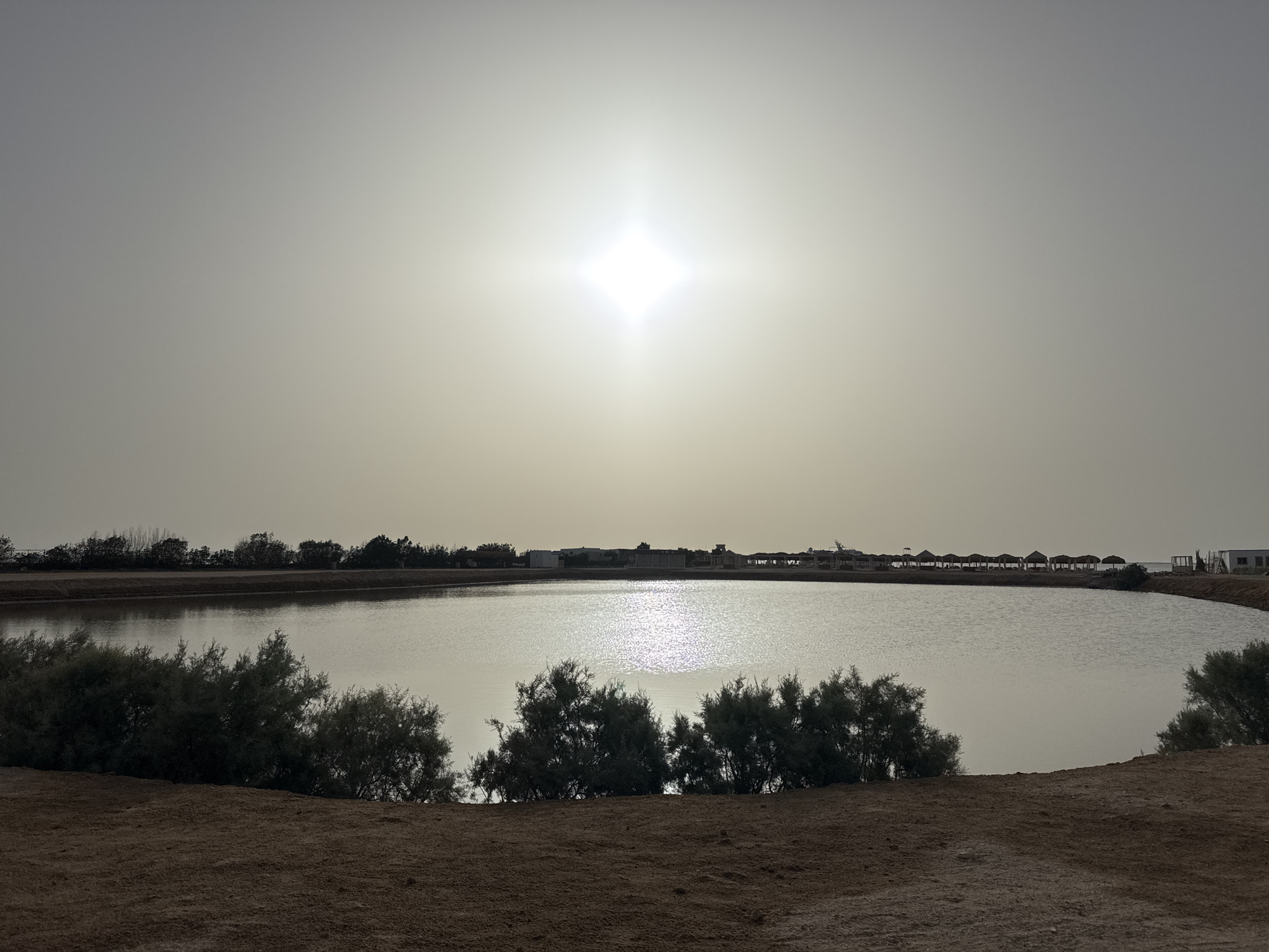 The photograph depicts a body of water reflecting the sun, situated within an environment that appears to be in the city of Unknown, Unknown. Along the water's edge, there are several low-lying bushes or shrubs. The background shows indistinct structures and vegetation, possibly indicating a developed area or resort with cabanas. The foreground consists of what appears to be barren or sparsely vegetated land. The sky is overcast, with the sun prominently visible, creating a high-contrast scene.