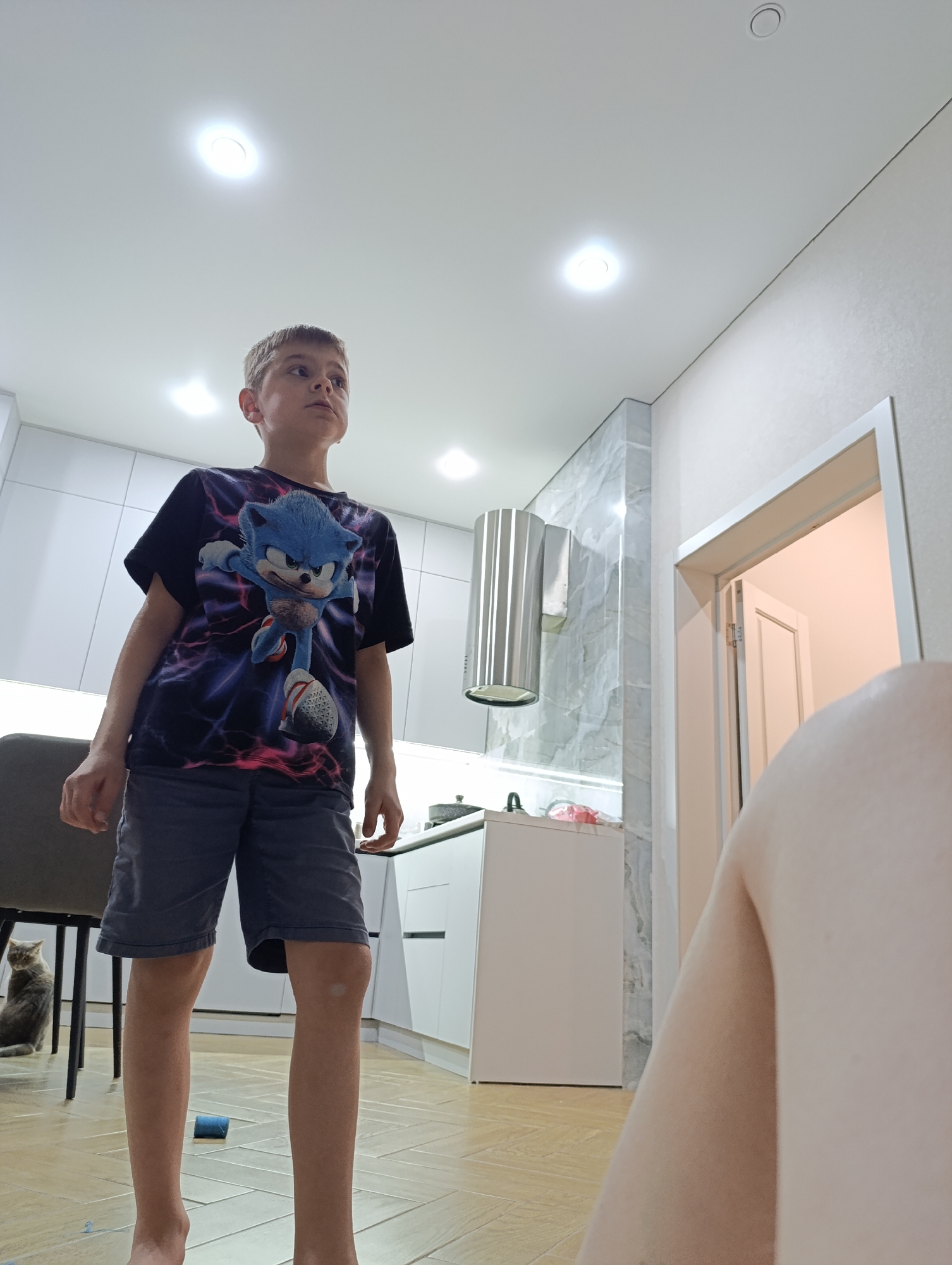 A boy wearing a Sonic the Hedgehog t-shirt and shorts stands in a kitchen. The kitchen has white cabinets, a stainless steel range hood, and light wood-toned flooring. A gray cat sits near a gray chair in the background. A doorway is visible on the right side of the image. The location is in an apartment, but the city and country are not ascertainable.