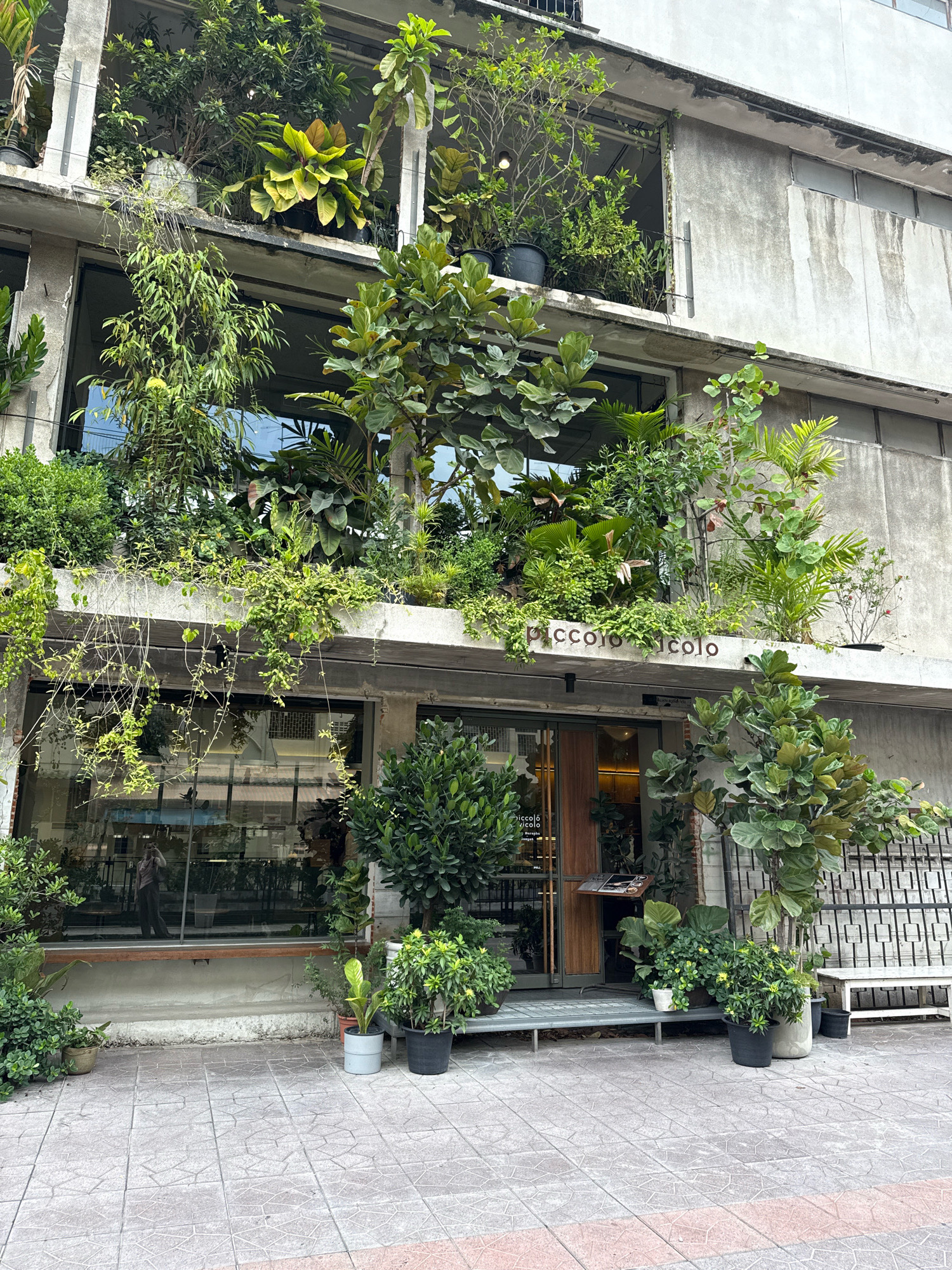 The image depicts the exterior of a building adorned with abundant greenery, suggesting an urban setting in Bangkok, Thailand. The building features multiple levels, each enhanced with planters and hanging plants. The facade is predominantly concrete, with large windows and open sections revealing more vegetation within. A prominent sign on an upper balcony reads "piccolo nicolò". At ground level, a glass-fronted entrance is visible, framed by wooden doors. Various potted plants are strategically placed along the sidewalk and near the entrance. A white bench with a decorative metal backing is situated to the right of the entrance. The ground is paved with patterned tiles. A reflection in the glass reveals a person standing inside, appearing to take a photograph of themselves.
