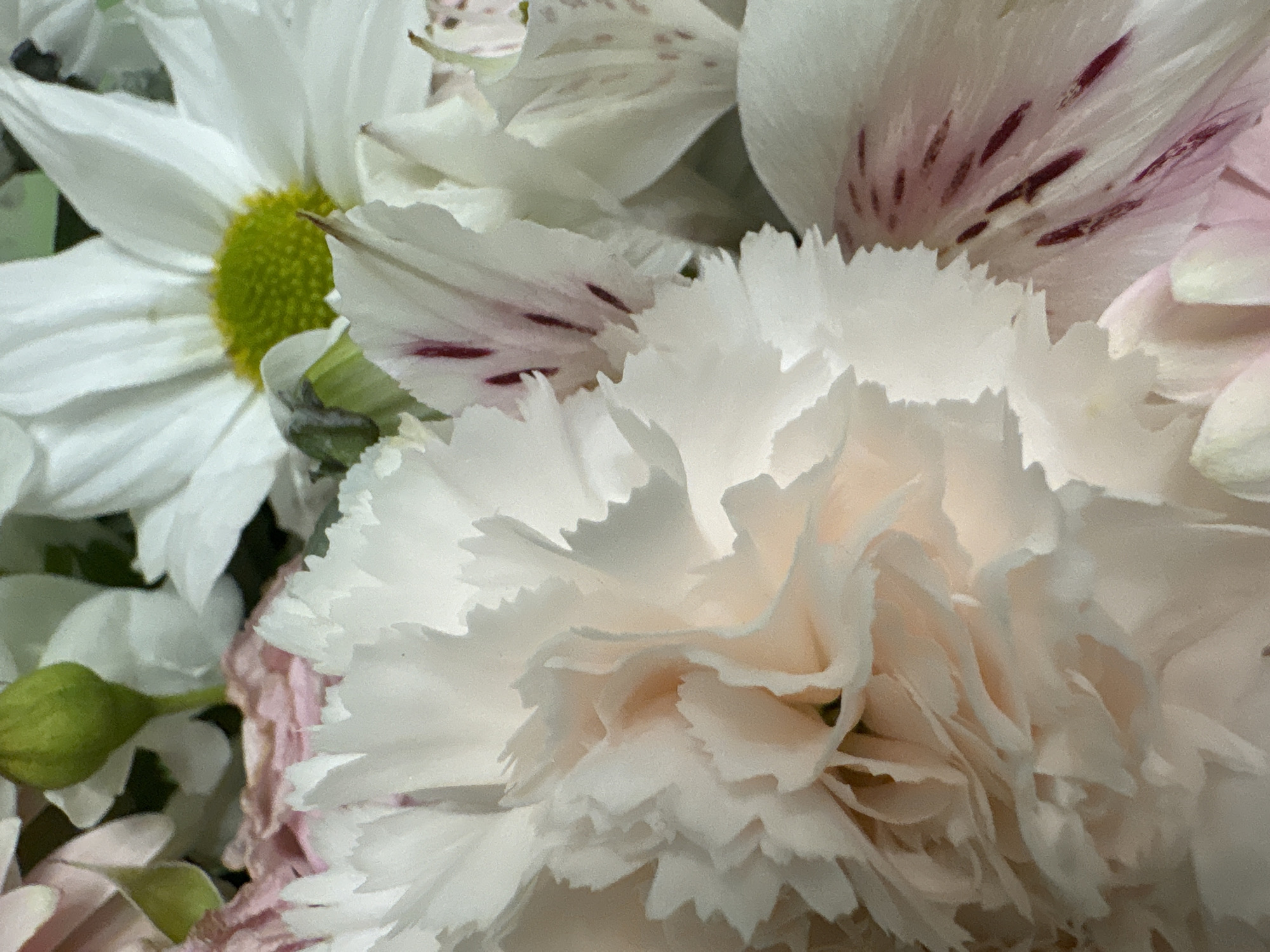 The image shows a close-up of a bouquet of flowers. There is a white daisy with a yellow center visible on the left side of the image. There is also a white flower with pinkish-purple spots. In the foreground, there is a large flower with ruffled white petals, possibly a carnation. The image is a close-up, so the background is out of focus. There is no indication of a location in Izhevsk, Russia, nor are there any people visible.