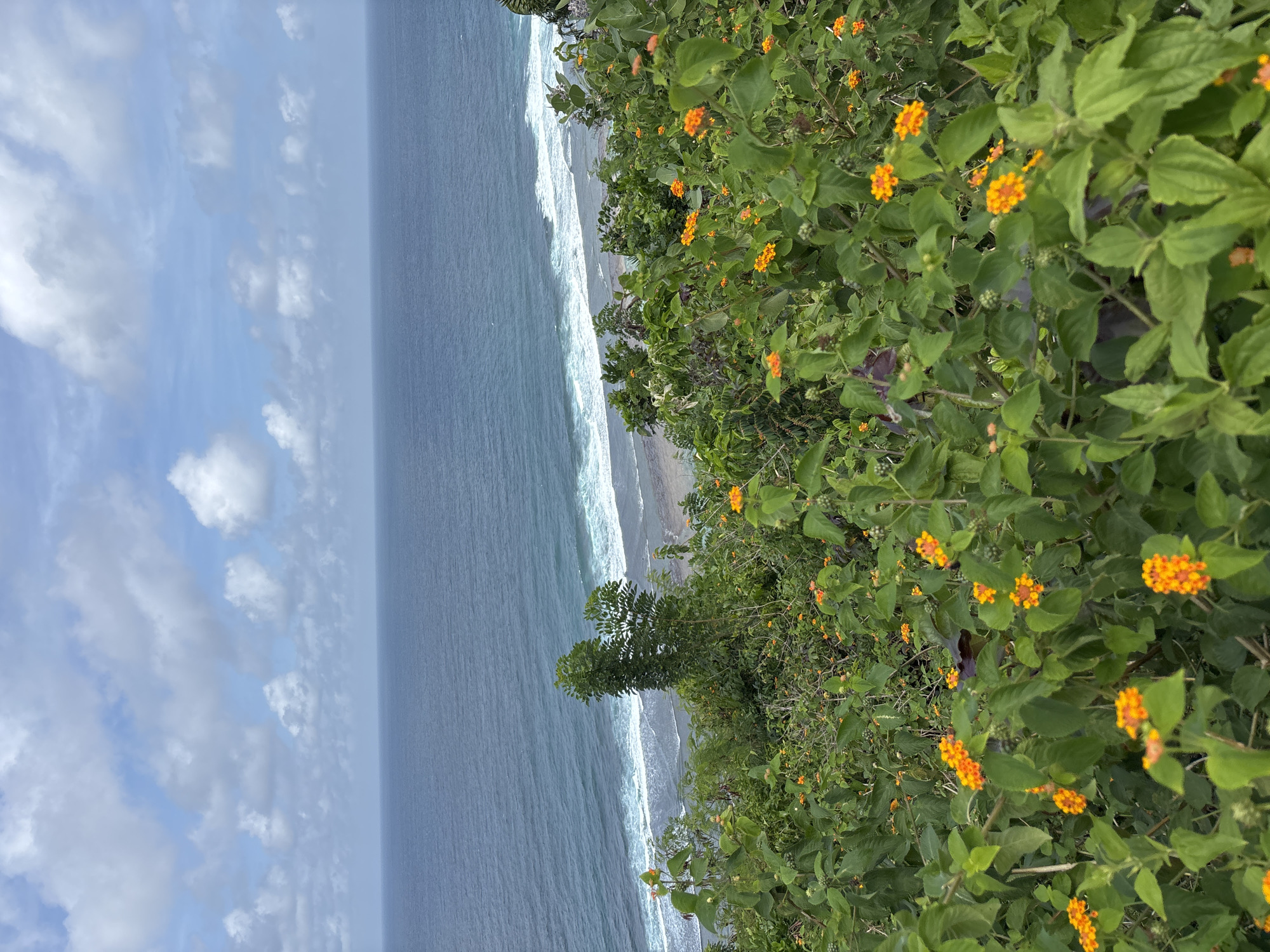 The image captures a view from a cliffside in Kuta Selatan, Indonesia. The scene features a turquoise ocean stretching to the horizon, where the sky is partly cloudy with white clouds. Along the cliff edge, vibrant green foliage and bushes with clusters of small orange flowers grow densely. Waves are visible breaking along a sandy beach below. The vegetation suggests a tropical environment.