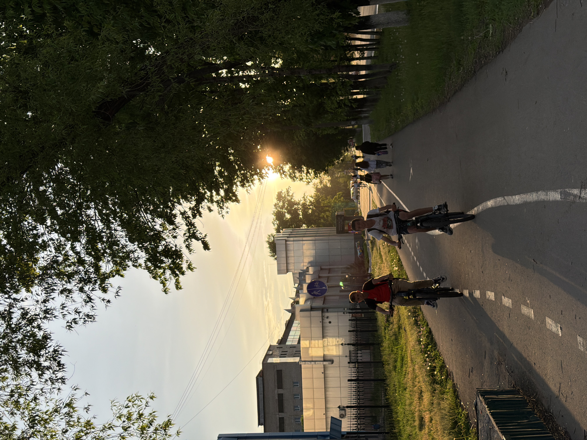 This image depicts a vibrant evening scene on a tree-lined pathway in Birobidzhan, Russia, likely during sunset or late afternoon. The sun, a bright golden disc, is low in the sky, casting a warm glow and long shadows across the asphalt path.
In the foreground, two men are actively cycling towards the viewer. One rider, wearing a red shirt, is closer to the camera, while another in a white t-shirt follows behind him. Further along the path, a group of people, including adults and possibly children, are seen walking and skateboarding away from the camera, enjoying the evening.
The path is marked with dashed white lines, suggesting designated lanes or a division. To the left, a dense canopy of dark green foliage from large trees overhangs the path, creating shadowed areas and allowing glimpses of the golden sky. On the right side of the path, a grassy strip with scattered dandelions is bordered by a row of trees, beyond which modern buildings with reflective and grey facades are visible. A black metal fence runs parallel to the path near these structures. A blue circular sign, clearly depicting a bicycle and a pedestrian, is mounted on a pole, indicating a shared or designated route for both. Overhead, several power lines stretch across the sky. The clear weather and outdoor activities convey a sense of leisure and enjoyment.