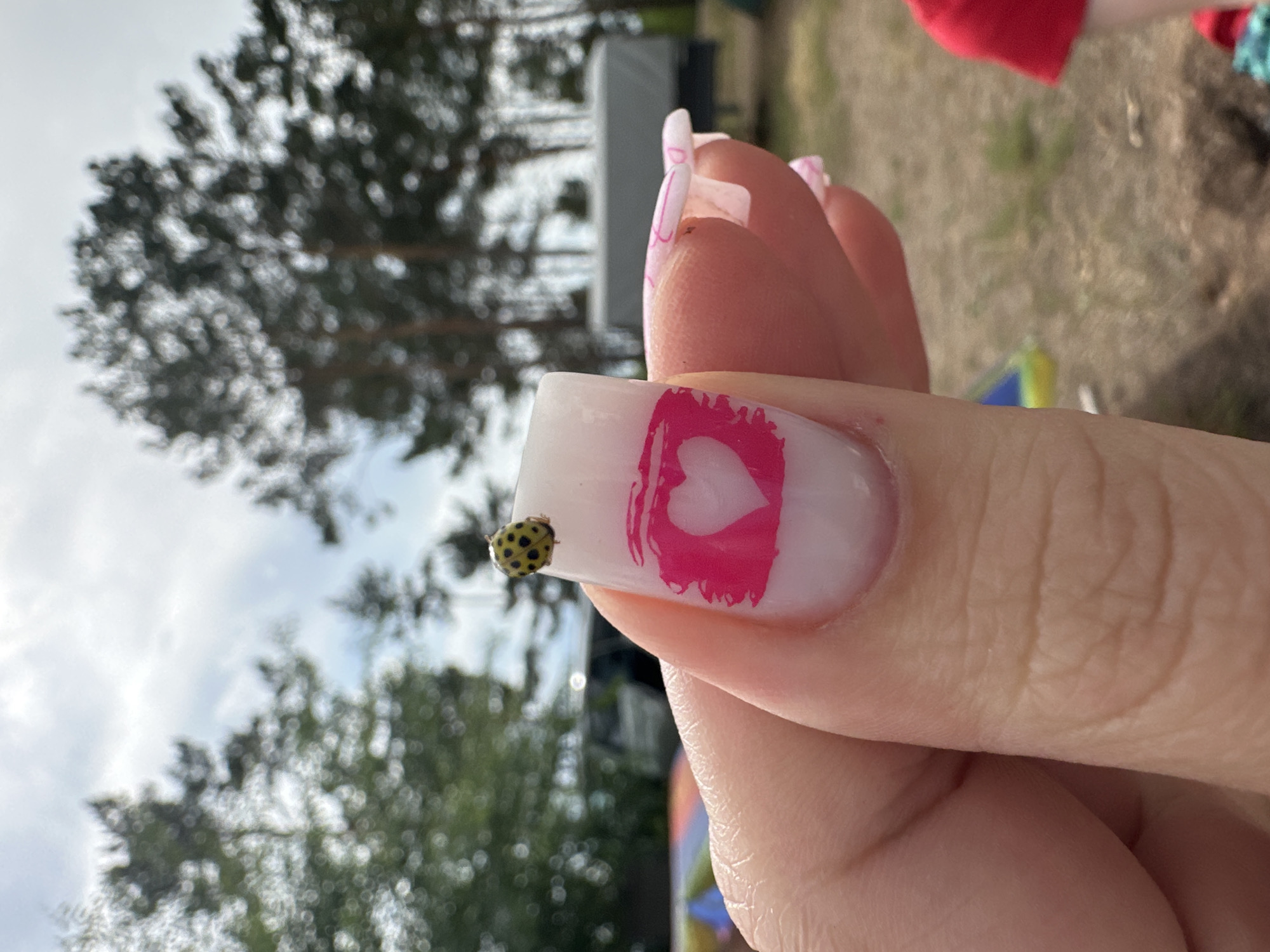 A close-up shot shows a person's hand with a ladybug on a fingernail. The fingernail is painted white with a pink heart design. In the background, trees and a cloudy sky are visible, suggesting an outdoor setting. The overall scene appears to be in an area with scattered vegetation and possibly a campsite, given the presence of what looks like a trailer in the distance.