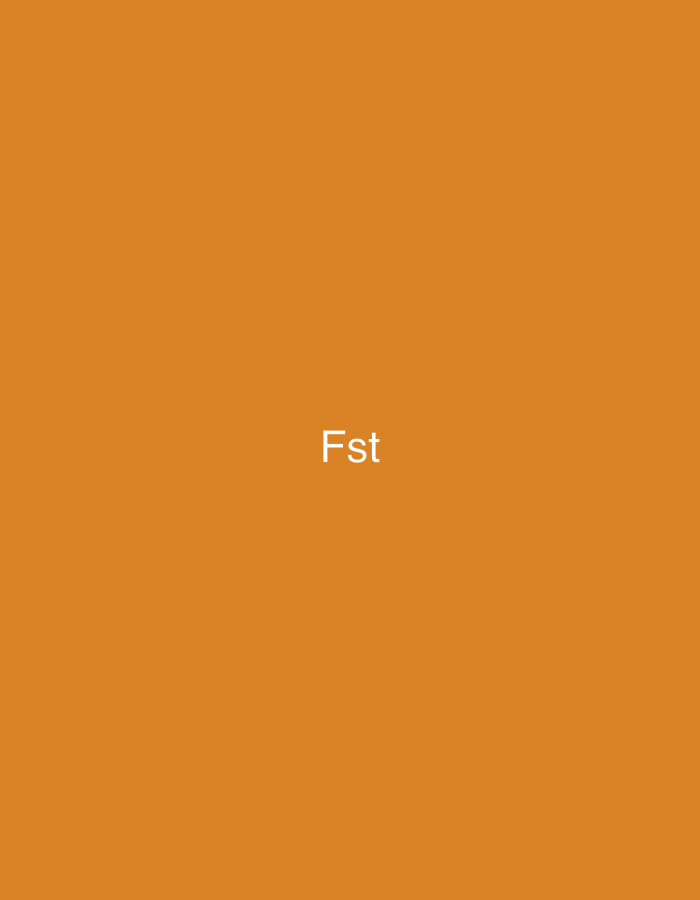 The image displays a flat, uniformly colored background in a shade of warm orange-brown. Centered horizontally and slightly below the vertical midpoint of the frame are the three white uppercase letters "Fst". No other visual elements, objects, people, actions, interactions, or environmental details are present. The image contains no discernible information that would indicate a specific geographical location, including the city of Casablanca, Morocco.