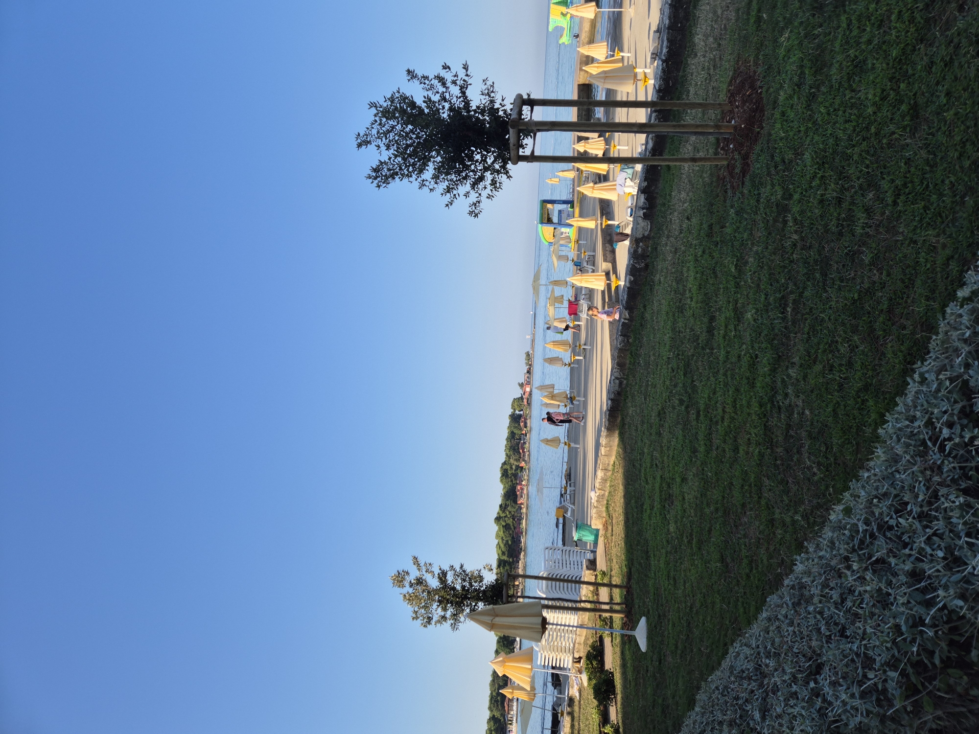 The image depicts a serene beach scene at the city of Monterol, Croatia. The sky is a clear, vibrant blue, suggesting a sunny day. In the foreground, a lush green lawn is bordered by a neatly trimmed hedge. Two young trees stand in the grass, their trunks supported by wooden posts. Beyond the lawn, a paved walkway runs parallel to the sea. This walkway is dotted with numerous closed yellow umbrellas, some with accompanying chairs and tables, indicating a beach setup ready for use. A few individuals are visible on the walkway, strolling or relaxing.
The sea itself is calm and blue, reflecting the clear sky. In the distance, a shoreline is lined with buildings, possibly hotels or restaurants, and a dense green forest. The overall atmosphere is tranquil and suggests a pleasant day at the beach. The presence of beach amenities like umbrellas and chairs points to a tourist or recreational area.