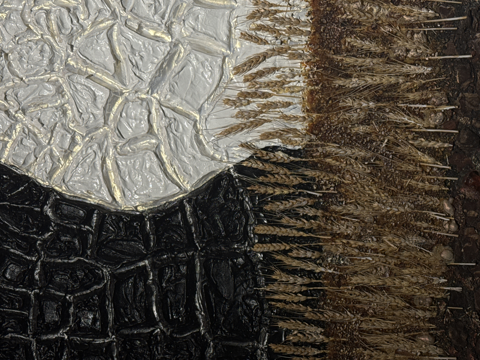 A close-up shot of a textured, abstract artwork. The artwork is divided into four sections. The upper left quadrant features a heavily textured white surface with gold highlights. The lower left quadrant consists of a black, textured surface resembling a reptile's skin. To the right of these sections are rows of dried wheat or similar grain stalks affixed to a surface with a brownish, granular material. This material transitions to a darker, bark-like substance on the far right edge.