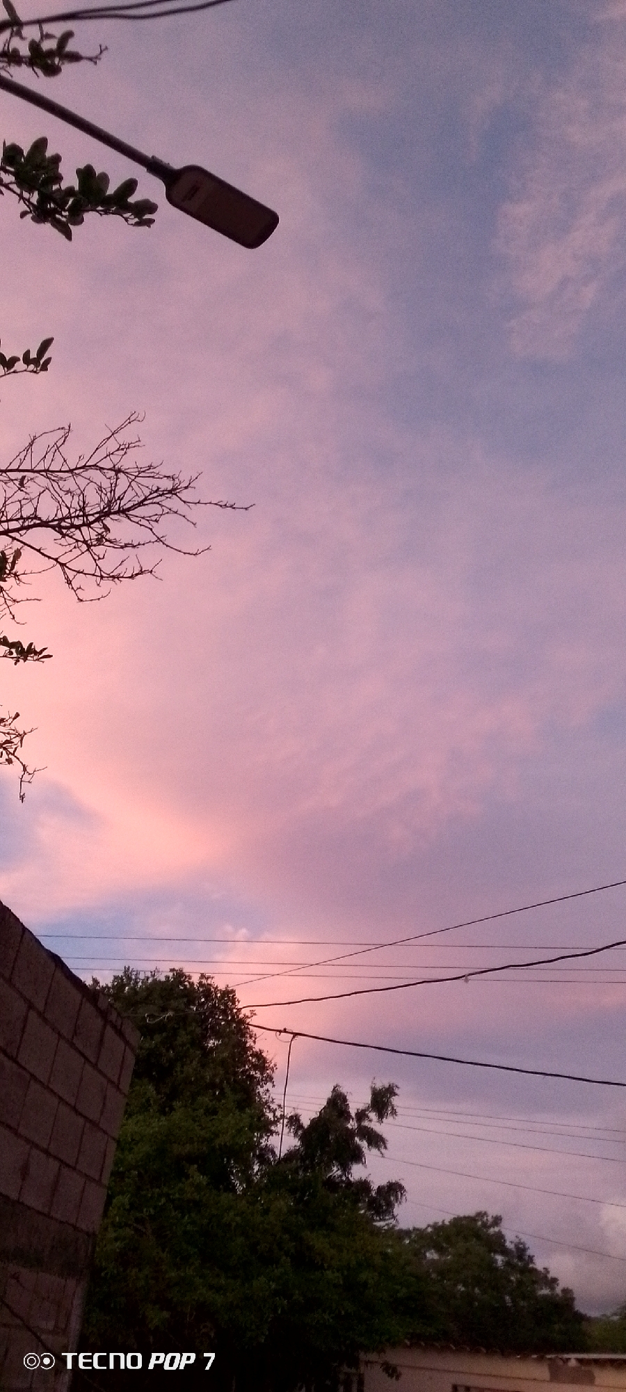 The image captures a twilight sky over Altagracia, Venezuela. The sky displays a gradient of colors, transitioning from a soft pink near the horizon to a muted blue with scattered clouds. A streetlamp, silhouetted against the sky, is visible in the upper left quadrant, with branches of a tree extending into the frame from the left. In the lower portion of the image, a brick wall forms the left edge, and a dense canopy of trees fills the central and right areas. Power lines crisscross the sky above the trees. The bottom of the image contains a watermark reading "TECNO POP 7". No people are visible.