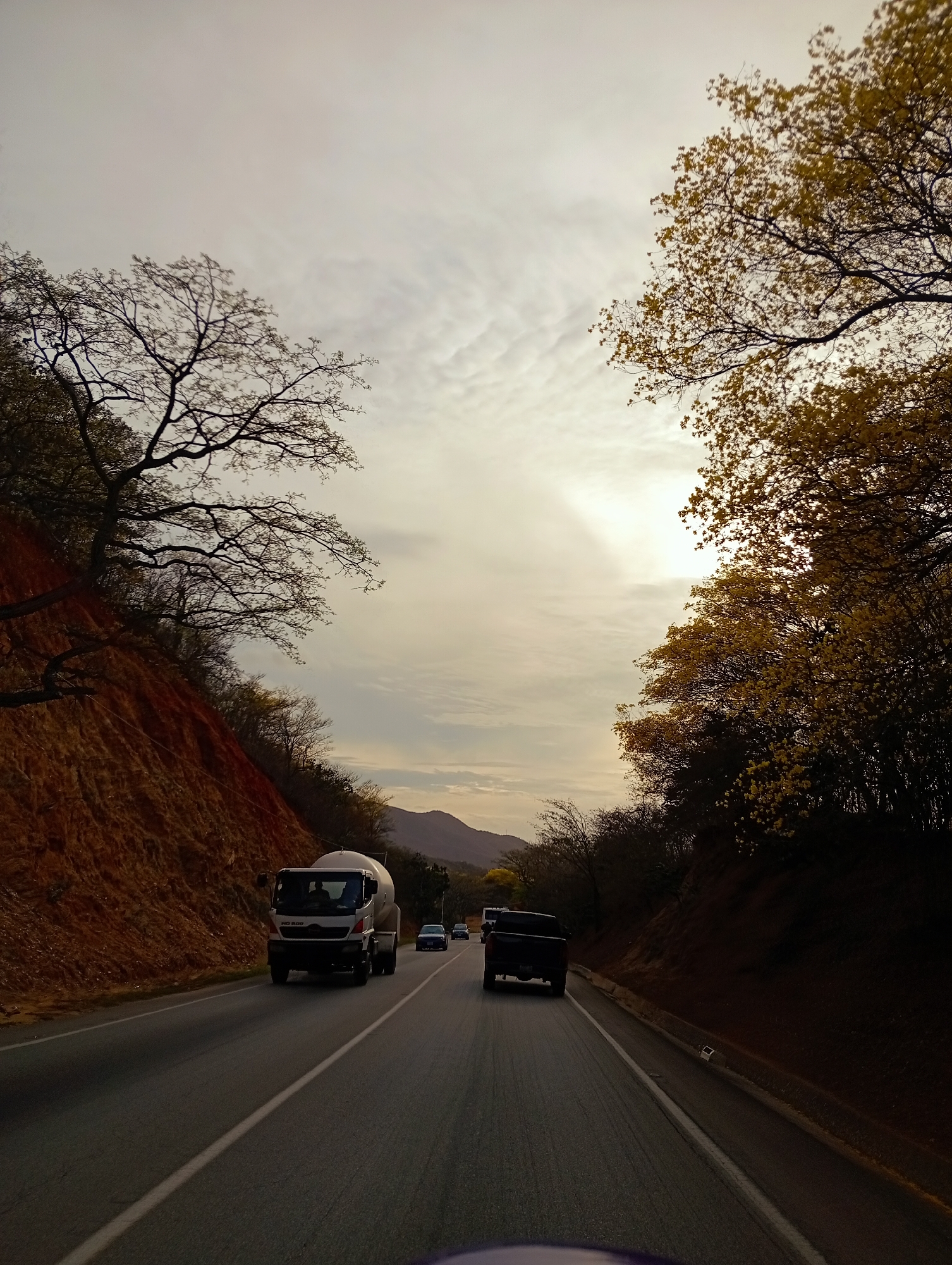 The image depicts a rural or semi-rural road winding through a hilly landscape, identified as being in Altagracia, Venezuela. The perspective is from inside a vehicle, looking forward along the two-lane asphalt road, with a dark dashboard element visible at the bottom of the frame. The sky is largely overcast with textured, scattered clouds, and a prominent warm, bright glow, indicative of sunrise or sunset, emanates from the upper right quadrant, partially obscured by clouds.
To the left of the road, a steep, reddish-brown earthen embankment rises sharply, showing exposed soil and rock. Scattered trees with dark, mostly bare branches grow along and atop this slope. To the right of the road, a densely vegetated hillside runs parallel, featuring trees with vibrant yellow-green foliage or blossoms that are illuminated by the warm light, while the lower parts of the vegetation are in shadow. Distant mountains are visible in the background, appearing as soft outlines against the horizon.
Vehicles are present on the road, traveling away from the viewer. In the left lane, a white Hino 500 series cement mixer truck with a cylindrical mixing drum is clearly visible, with a driver in the cab. In the right lane, a dark pickup truck is traveling further ahead. Additional passenger vehicles are discernible in the distance on the road ahead. The road itself features a solid white center line and broken white lane markers on the right side.