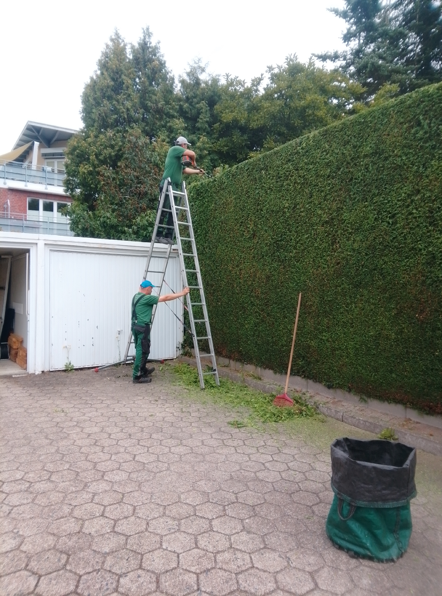 In Wedel, Germany, two men are trimming a large green hedge. One man, wearing a green shirt, dark pants, and a cap, stands on a tall silver ladder, using a power hedge trimmer to cut the top of the hedge. The other man, also in green work clothes and a blue cap, stands on the ground, holding onto the ladder and observing. Next to him, leaning against the hedge, is a red rake. Scattered on the hexagonal patterned paving stones are clippings from the hedge. In the foreground, a large green bag with a black rim sits open, ready to collect the debris. Behind the men, a white garage door is visible, and beyond that, a multi-story building with balconies and trees. The sky is overcast.