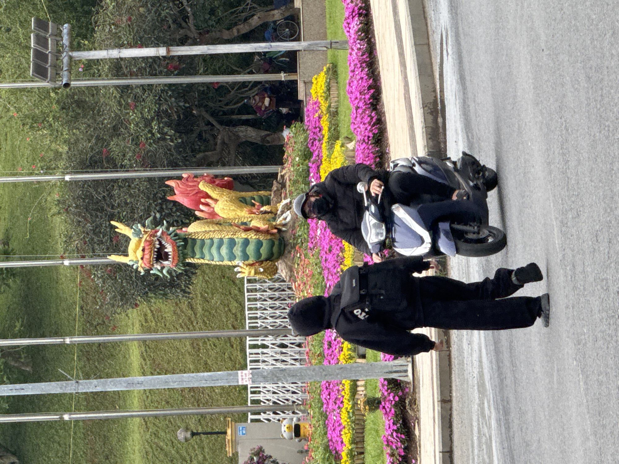 The image depicts an outdoor daytime scene, likely in Phường Xuân Hương - Đà Lạt, Vietnam, featuring two individuals, a large dragon statue, and a landscaped area.
In the foreground, a person stands on an asphalt road, dressed in a black hooded top, black pants, and black shoes. A black sling bag or backpack is visible on their back, with the partial text "O.T." printed on it. Their face is obscured by the hood and a dark covering.
Adjacent to the standing person, another individual is seated on a blue and white electric scooter. This person wears a black jacket, dark pants, a dark face covering or balaclava, and a grey beanie, with their hands on the scooter's handlebars.
Behind the people and the scooter is a vibrant garden area, separated from the road by a curb. This area features neatly arranged flower beds with bright purple and yellow flowers, set against green grass. A prominent, colorful dragon statue is positioned within this garden. The statue has a detailed red head with an open mouth and teeth, a yellow body, and green scales on its belly.
Further in the background, lush green trees and shrubs with some red blossoms are visible. A tall grey pole with a traffic light structure (four square lights) stands on the left. Partially visible among the trees is a bicycle. Near the garden's edge, a distinctive yellow fire hydrant with a bear's face can be seen, along with a small sign displaying some unreadable red text. The scene is brightly lit, suggesting clear, sunny daytime conditions.