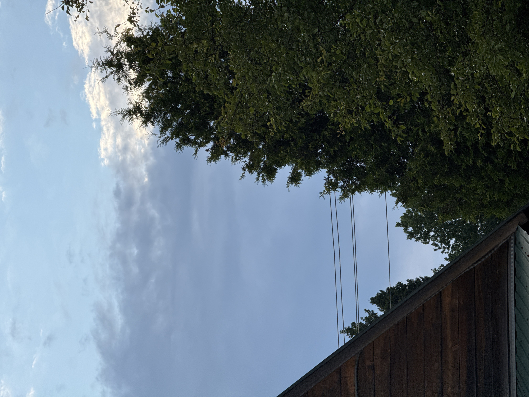 The image, taken from a low angle looking upwards, captures a serene outdoor scene. The dominant subjects are the lush green foliage of a large tree that arches across the top portion of the frame, and a section of a wooden building with a dark, textured exterior, situated in the lower right corner. The sky occupies the majority of the background, featuring a mix of pale blue and wispy white clouds, suggesting it is daytime, possibly late afternoon or early evening given the soft lighting.
Several thin, dark lines, likely wires or cables, are visible suspended in the sky, extending from the upper right towards the center of the image. These lines add a linear element to the organic shapes of the tree and clouds. The wooden building appears to be a shed or a similar outbuilding, with vertical planks forming its walls and a dark-colored roofline.
There are no people or explicit activities depicted in the image. The overall mood is peaceful and natural, with the focus on the interplay of the natural elements (tree, sky, clouds) and the man-made structure. The setting appears to be a residential or recreational area, possibly a garden or a backyard, given the presence of trees and a building. The location context provided, Дзержинец-83 Снт, Russia, suggests a dacha settlement or a garden community. There is no visible text in the image.