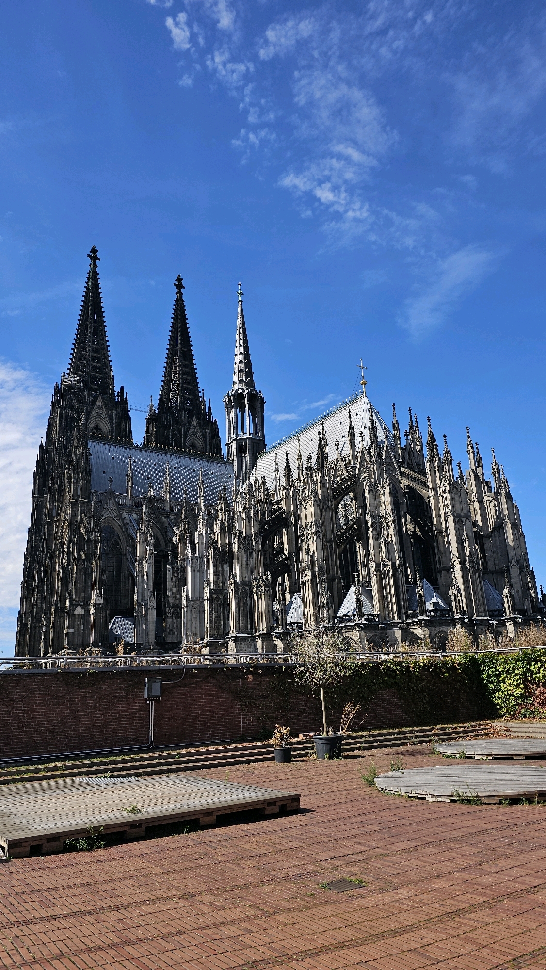 The image shows a full view of the Cologne Cathedral, a Roman Catholic cathedral in Cologne, Germany. The massive Gothic structure features two tall spires dominating the skyline. The cathedral is made of dark stone and has intricate architectural details. In the foreground, there is a red brick plaza with several circular wooden platforms, appearing to be an outdoor seating or performance area. A low brick wall separates the plaza from the cathedral grounds, and a few potted plants and a small tree are visible. The sky above is a clear blue with scattered white clouds. The lighting suggests it is daytime, likely with the sun casting shadows. There are no people visible in the image.