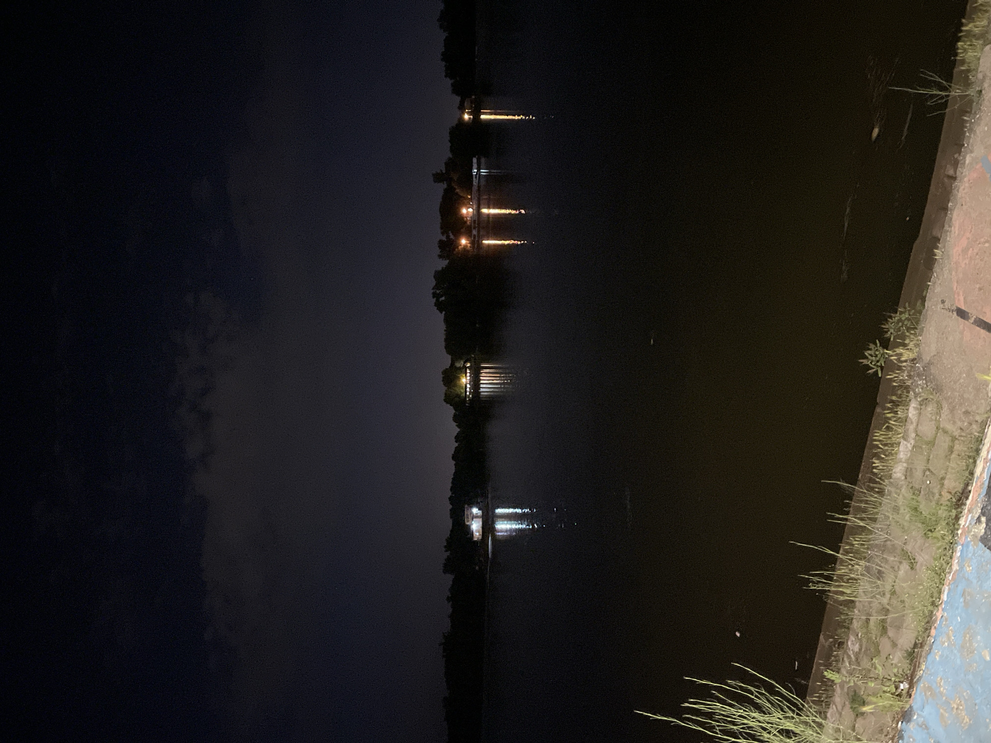 At night, a body of water reflects lights from buildings on its far bank. The water's edge is visible on the right, showing vegetation growing along a concrete structure. The left side of the image is dark, showing night sky. The location is Belgrade, Serbia.