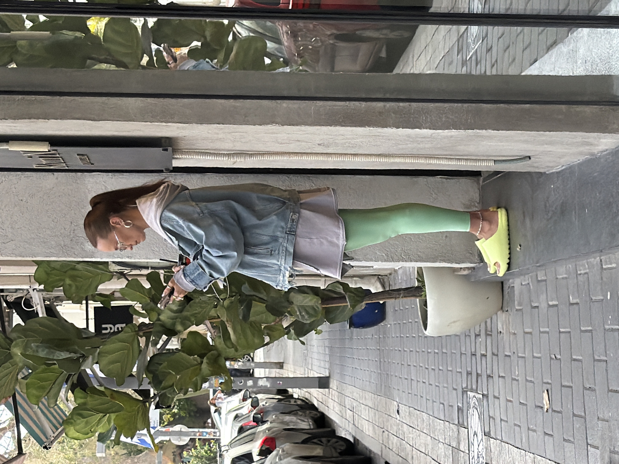 A woman with brown hair in a ponytail, wearing a light blue denim jacket over a light gray hooded shirt, green leggings, and bright yellow sandals, is pruning a fiddle leaf fig tree in a white pot on a city street. She is wearing glasses and is focused on the tree. The location appears to be Tel-Aviv, Israel, based on the street style and vegetation. A row of parked cars lines the street, and there's a building behind the woman. The scene is captured from a somewhat elevated perspective.