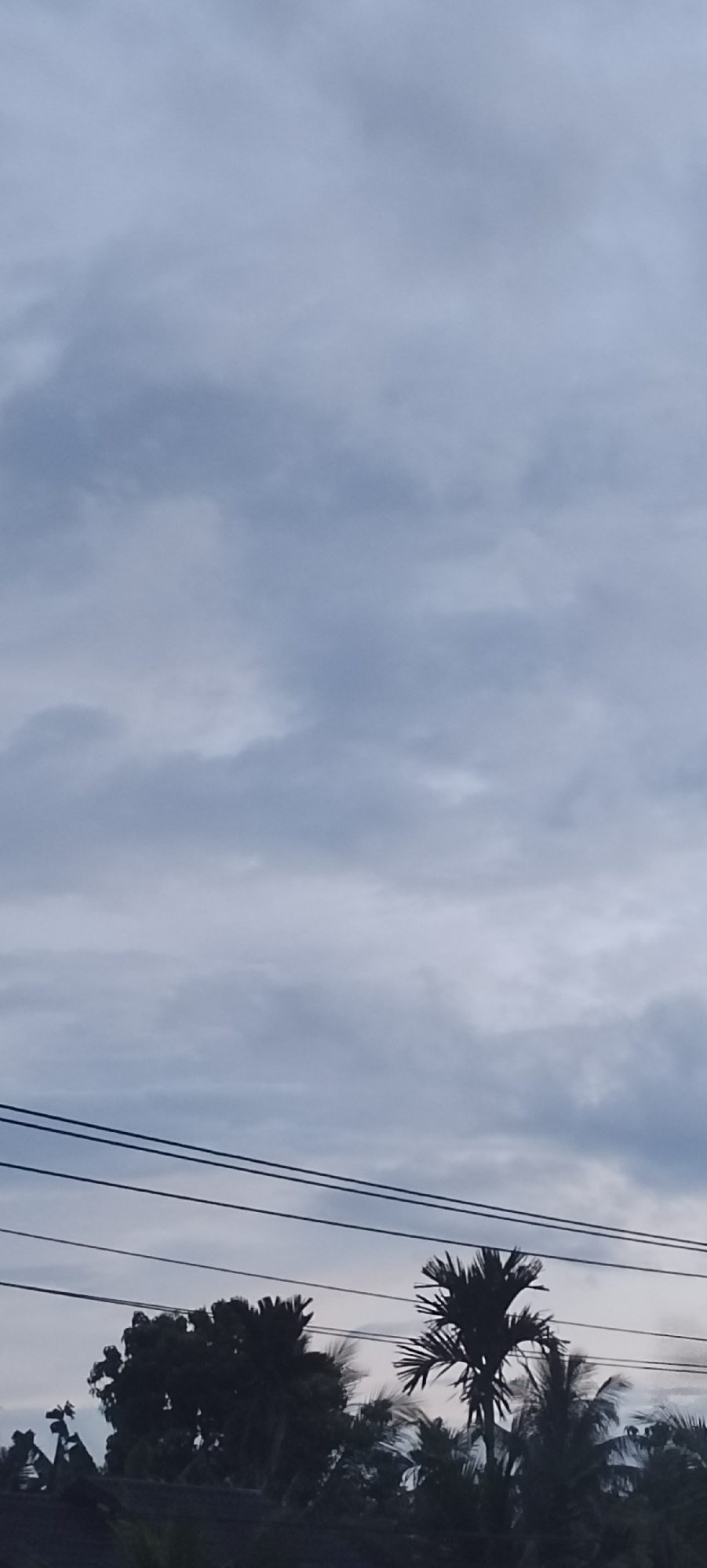 The image displays an overcast sky dominated by soft, diffuse grey and light blue clouds, suggesting either an early morning, late evening, or a heavily clouded daytime. The upper two-thirds of the frame are filled with these varied cloud formations, exhibiting subtle differences in tone and density.
Below the cloudscape, two prominent dark power lines or utility cables stretch horizontally across the mid-ground, running parallel to each other. In the bottom section, the silhouettes of several trees are visible against the lighter sky, appearing dark due to backlighting. Among these are distinct palm trees with their characteristic fronds, and other leafy trees, indicating a tropical environment consistent with the location context of Meunasahmee, Indonesia. A dark, undefined shape, possibly a rooftop or dense foliage, occupies the very bottom edge of the image.
There is no discernible activity or specific event taking place, and no people are visible. The scene evokes a quiet, somewhat subdued atmosphere under the cloudy sky. There is no visible text in the image.