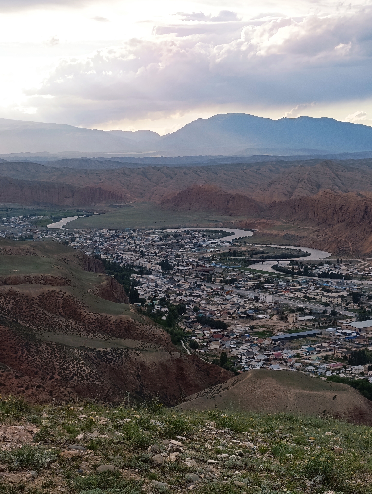 This image captures a panoramic view of the city of Naryn City, Kyrgyzstan, nestled within a valley. The city is characterized by a dense collection of buildings with predominantly white and light-colored roofs, spread out along the banks of a winding river that bisects the landscape. The urban area is framed by rugged, barren hills with reddish-brown soil and sparse vegetation, showcasing a dramatic geological setting. In the background, a series of layered mountains fade into the distance under a cloudy sky, with a soft, diffused light illuminating the scene. The foreground features a grassy slope with scattered rocks and a few small yellow flowers, suggesting a natural overlook. The perspective is from a high vantage point, looking down upon the city and the surrounding terrain.
