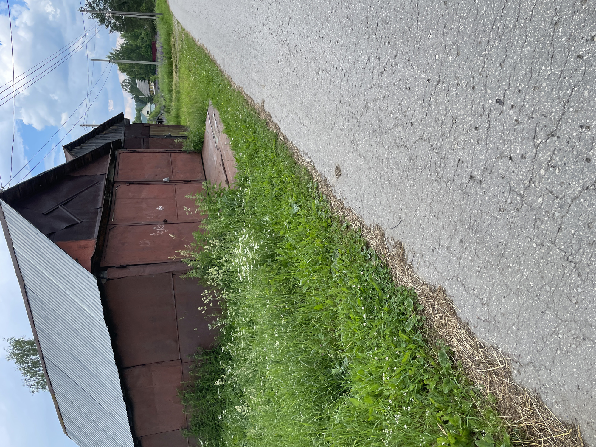 A low-angle, full shot captures an aging, rust-colored metal garage with a corrugated metal roof, set against a backdrop of lush green grass and wildflowers. The garage appears to be situated in a rural or semi-rural area, possibly on the outskirts of the city of Prud'y, Russia, as suggested by the presence of a cracked asphalt road leading away from it and power lines stretching across the sky. In the distance, a few residential buildings and trees dot the landscape under a partly cloudy sky. The scene is devoid of any human presence or activity, emphasizing the quiet solitude of the location. The overall impression is one of weathered resilience, with the natural elements slowly encroaching upon the man-made structure.