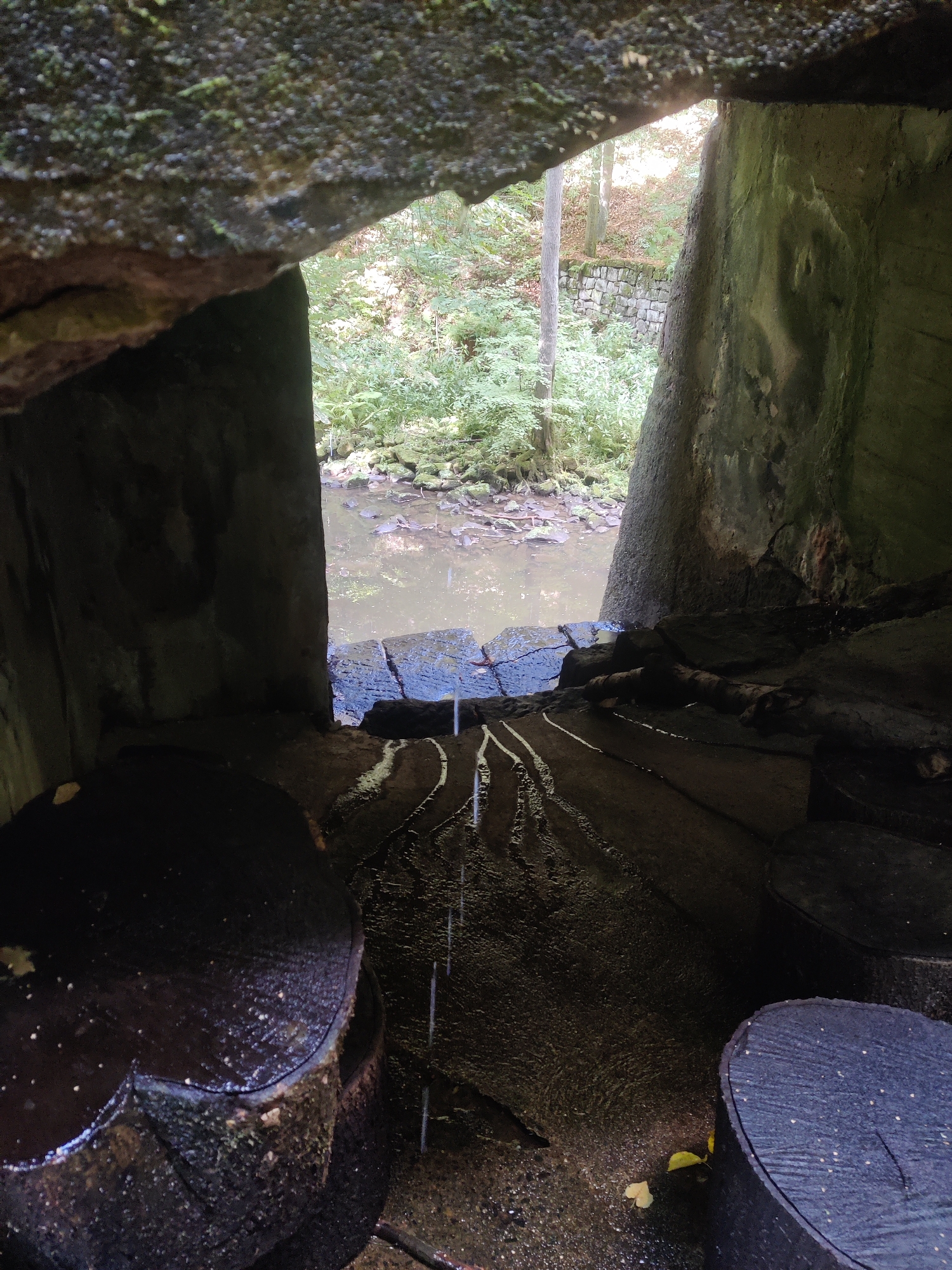 The image depicts a view looking out from a dark, cavernous opening towards a sunlit forest scene with a stream. The opening is framed by rough, moss-covered stone walls, suggesting a natural cave or an old man-made structure. In the foreground, large, dark, wet logs are visible, some appearing to be sawn. Water is trickling down the rough-hewn floor from the opening, creating wet streaks and pooling near the stream. The stream itself is visible in the mid-ground, flowing gently through lush green foliage. Beyond the stream, a stone wall and more trees are visible, indicating the presence of a park or wooded area. The overall impression is one of a secluded, natural setting with a hint of historical or abandoned human activity. This view is from the cave entrance of the "Steinerne Klause" in Lohmen, Germany.