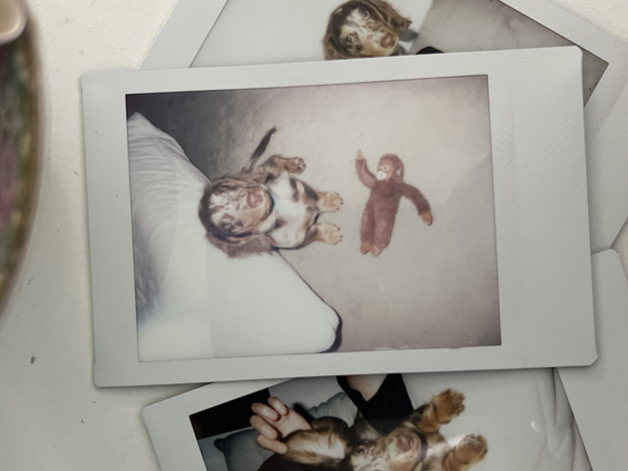 Memory