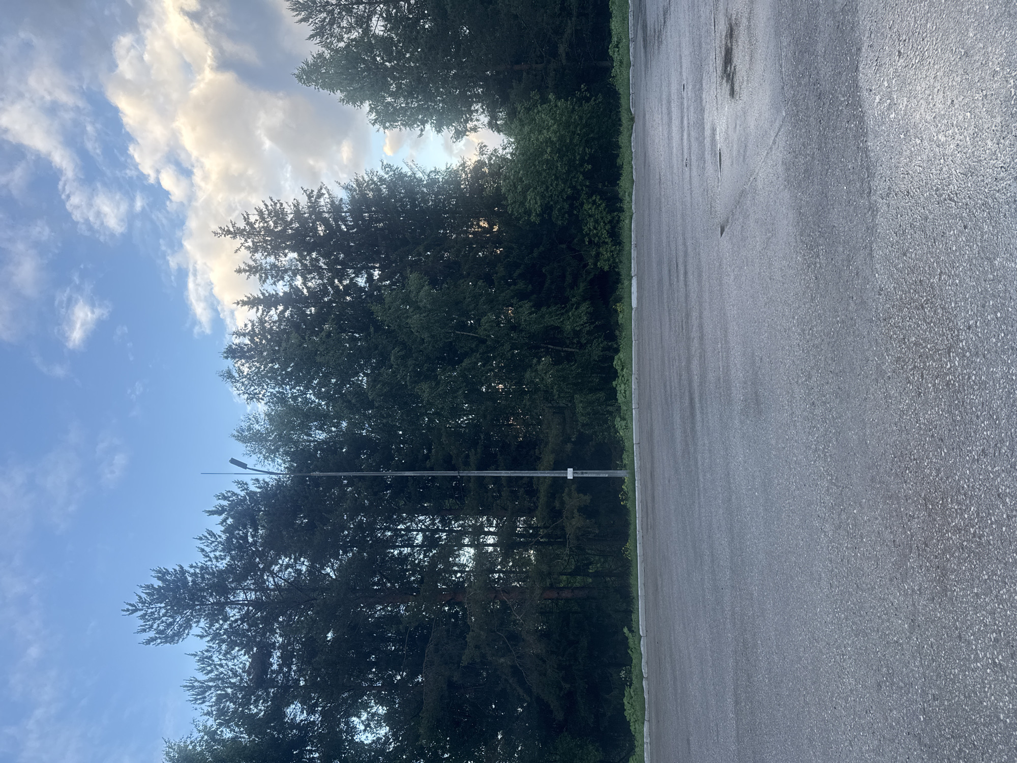 The image depicts an outdoor scene, likely in Chernovskoye, Russia, featuring a paved surface in the foreground that appears to be wet, suggesting recent rain or moisture. This surface transitions into a grassy verge and then a dense line of coniferous trees. The trees form a dark backdrop against a sky with scattered clouds. A tall, slender street lamp stands vertically in the middle ground, positioned in front of the trees. The sky above displays a gradient of blue with patches of white and grey clouds, some of which are illuminated by sunlight, indicating a time of day when the sun is either rising or setting. No people or discernible animals are present in the frame. The overall atmosphere is serene and natural, with the man-made elements of the pavement and street lamp contrasting with the surrounding greenery and sky.