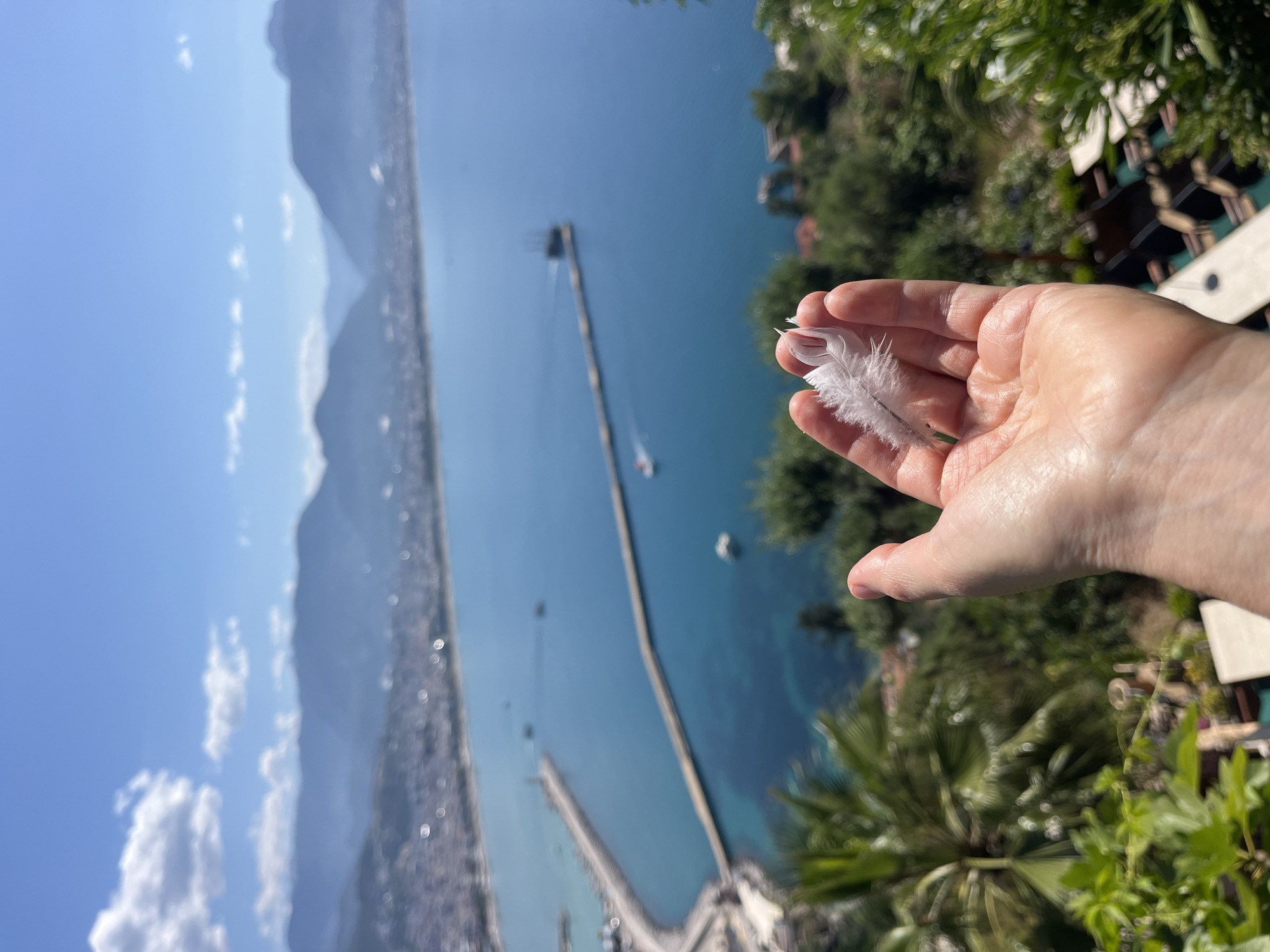 The image shows a right hand holding a small, white feather. The background consists of a cityscape, mountains, and blue water, suggesting a coastal or elevated location. There are two jetties or piers extending into the water. The image is taken from a high vantage point, as suggested by the foliage, palm trees, and partial view of a fence, which suggests a balcony or elevated structure. The location is identified as Alanya, Turkey, based on the known landmarks.