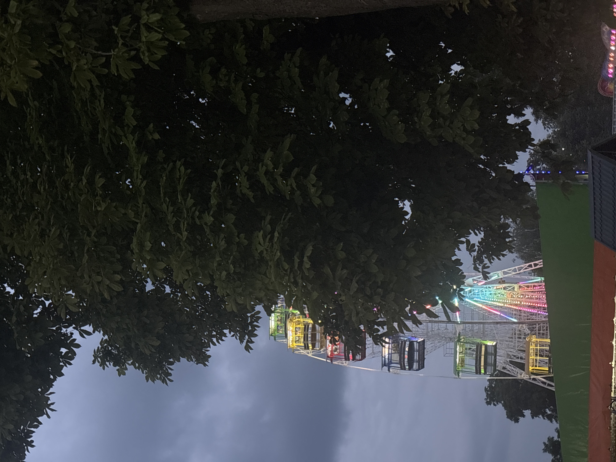 The image depicts a Ferris wheel at an amusement park in Bila Tserkva, Ukraine. The sky is overcast and dark, suggesting either early morning or late evening. A large tree with dark green leaves partially obscures the view of the Ferris wheel and the surrounding environment. The Ferris wheel itself is illuminated with various colors, including yellow, green, red, and blue lights. The cabins of the Ferris wheel are visible and appear to be empty. In the foreground, there is a green barrier or fence, and a red structure can be seen underneath it. Other amusement park attractions, including string lights, are visible in the background. The overall impression is of a dimly lit amusement park at dusk or dawn, with the vibrant lights of the Ferris wheel providing a stark contrast to the dark sky and foliage.