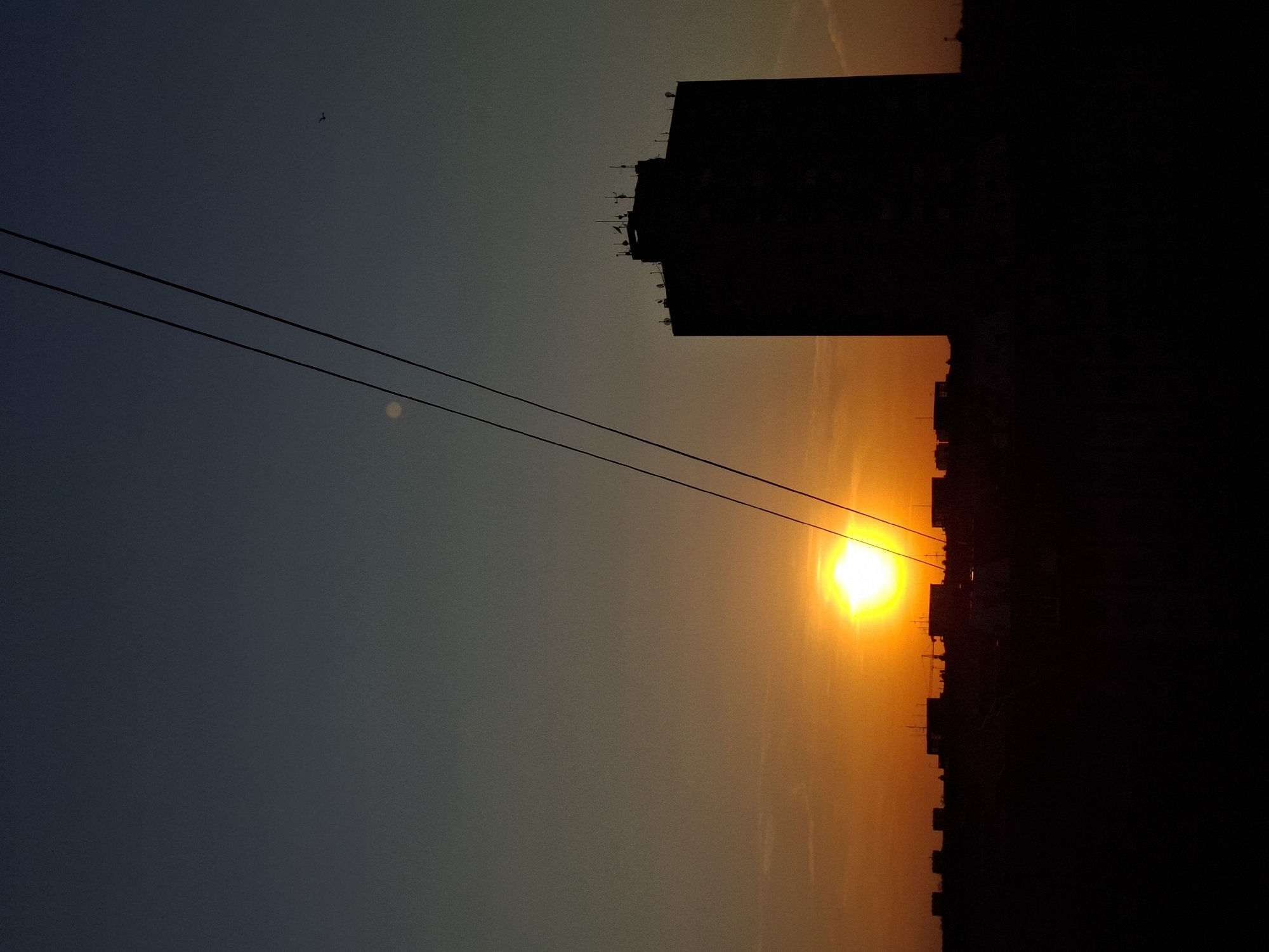 The image depicts a sunset in Novi Sad, Serbia, with a focus on silhouettes against the bright sun. A tall building stands to the right, its outline sharply defined. Electrical wires stretch across the left side of the image. The sky transitions from dark blue to orange. The sun is a bright, circular point of light. The image is rotated, with the ground at the top. A small bird is flying in the upper left portion of the image.