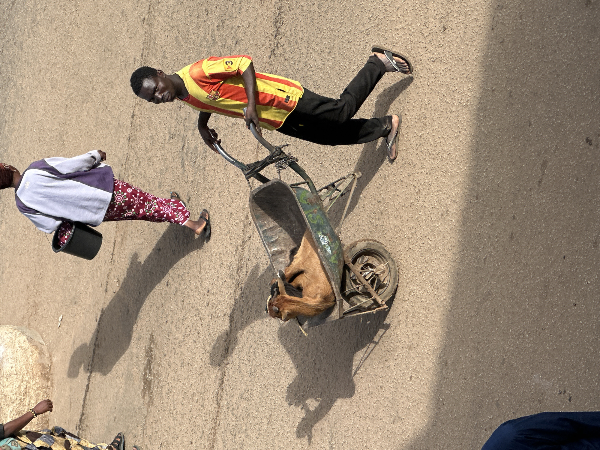 In Bukuru, Nigeria, a young man wearing a red and yellow striped shirt and black pants is pushing a wheelbarrow containing a goat. The man is wearing flip-flops. The wheelbarrow is old and appears to be made of metal. The goat is brown and has its head turned to the side. In the background, a person wearing a white and purple long-sleeved shirt and patterned pants is walking away, carrying a black bucket. The ground is a dirt or gravel surface. The lighting suggests it is daytime, with distinct shadows cast by the people and the wheelbarrow.