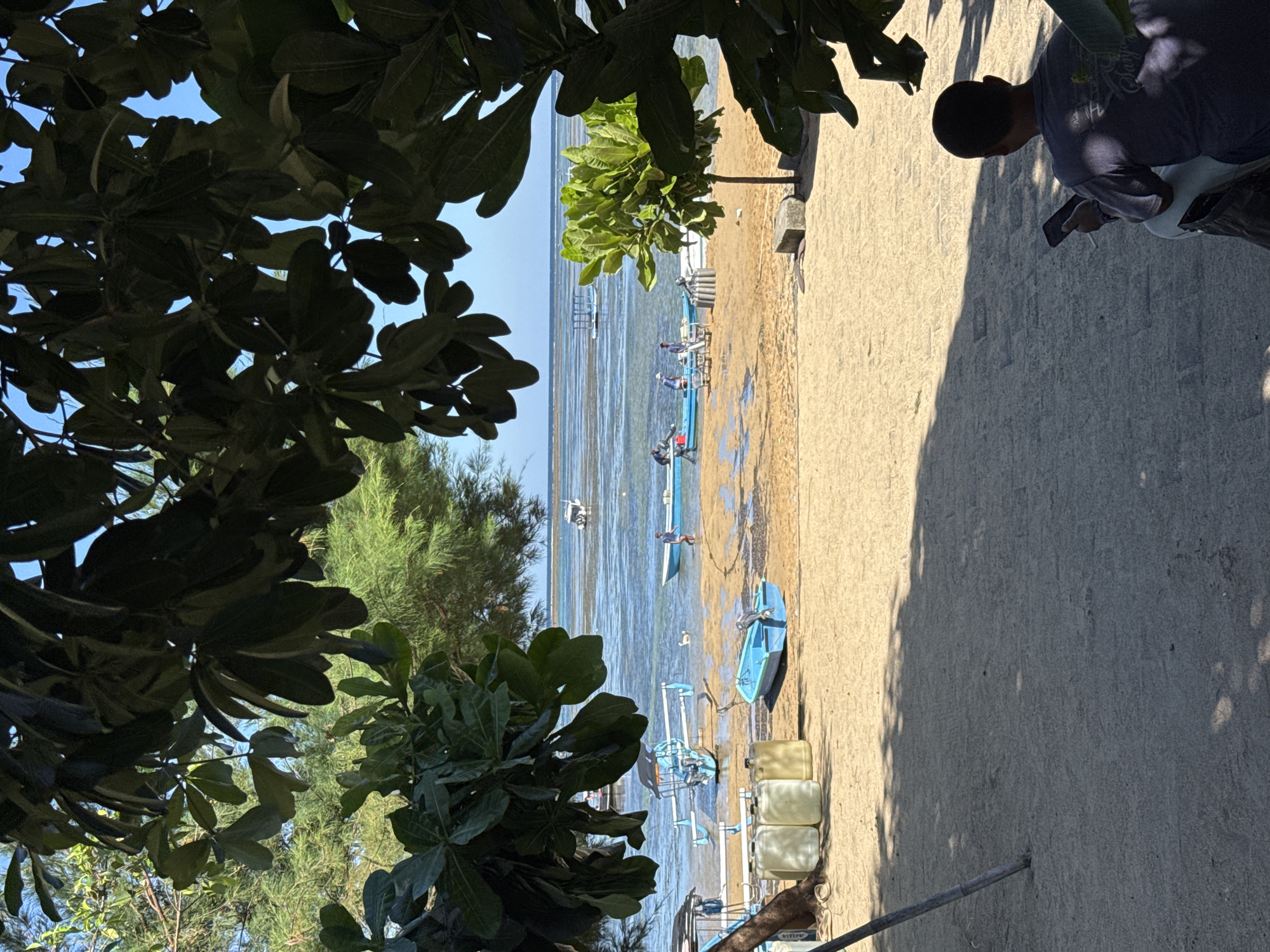 The image, taken in Denpasar, Indonesia, presents a sunlit coastal scene. Dark green foliage from trees frames the top and bottom of the view, suggesting the vantage point is beneath an overhead canopy. The sky above is a clear, bright blue.
The scene is divided into three main sections: a calm, shallow sea on the left, a sandy beach in the center, and a light-colored sandy or concrete path on the right. A line of lush green coastal trees forms the backdrop along the far left edge of the beach.
Several individuals are visible. On the right, a person with dark hair, wearing a dark t-shirt, stands on the sandy path, looking down at a phone or small device. Closer to the water and in the shallows, multiple people are seen, some standing in or near small, light blue or white outrigger boats, suggesting activities related to fishing or transport. One person is standing on a light-colored boat further out in the mid-ground.
Objects of note include several small, traditional outrigger boats (jukung-style) scattered along the shore and in the water. One prominent blue boat rests on the sand next to the path, accompanied by three stacked yellow plastic jerrycans. A larger white boat is visible further out in the sea. A smaller, brightly lit green tree stands on the beach near the center. Faint text "AQUA" is visible on an object in the lower right.
The bright sunlight and distinct shadows cast by the trees and people indicate a clear day, likely mid-morning or early afternoon. The overall impression is a peaceful yet active coastal environment, bustling with local maritime routines.