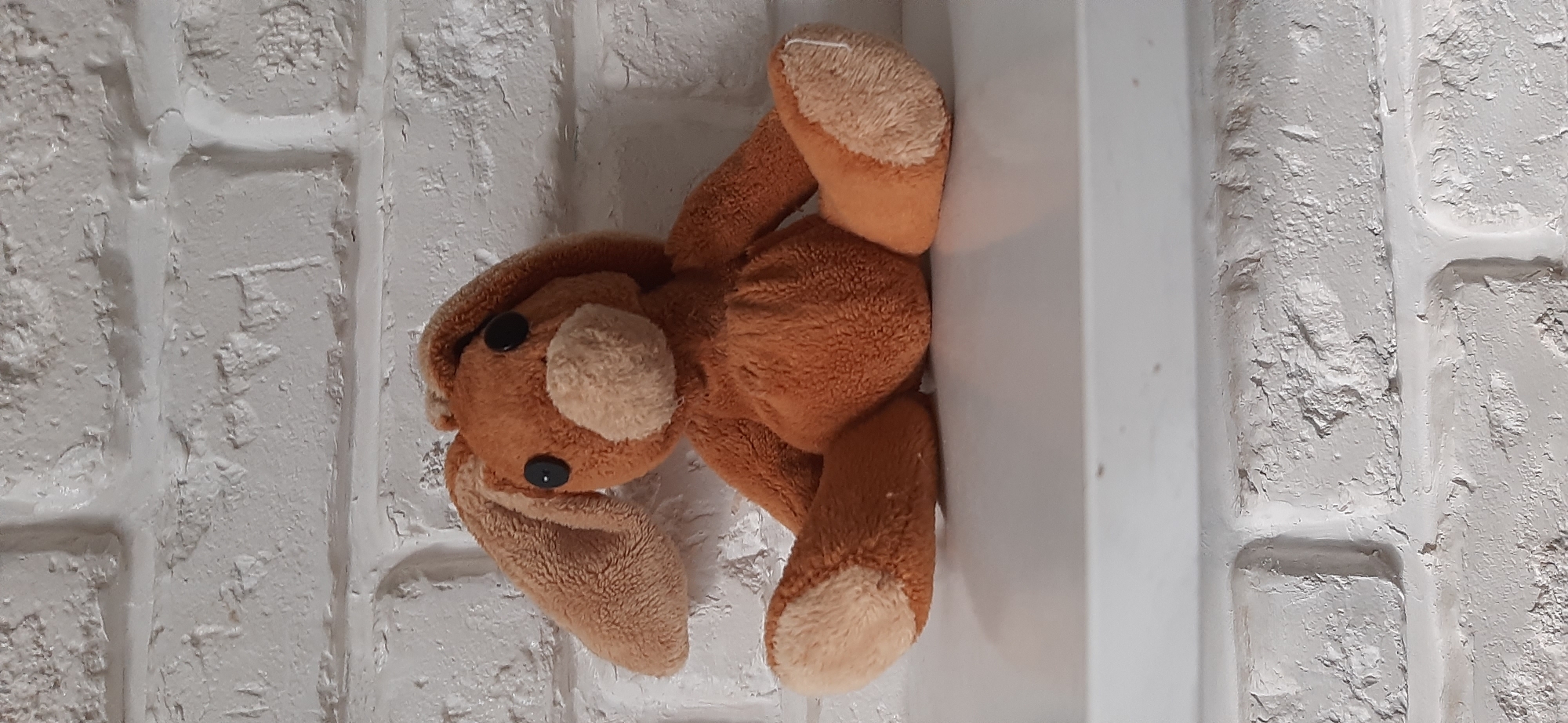 A brown plush bunny toy sits on a white shelf in front of a white brick wall. The bunny is positioned centrally, facing the viewer. Its ears are long and floppy, made of a lighter brown material on the inside. It has two black button eyes and a lighter brown nose. The bunny's legs are bent, and its arms are resting on its lap. There are subtle shadows cast on the shelf and the brick wall, suggesting a light source from the front. The brick wall appears textured and somewhat worn, with visible grout lines. There is no visible indication of the location in Chernihiv, Ukraine.