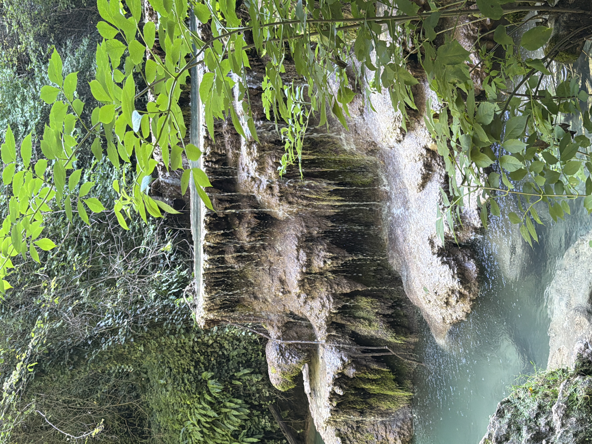 The image shows a tiered waterfall cascading over moss-covered travertine formations in Krushuna, Bulgaria. The water is a clear, greenish-blue. Lush green vegetation, including ferns and leafy branches, frames the scene. The travertine rock is a mix of brown and tan hues, with visible mineral deposits and textures. There are no people or animals present in the image. The environment is natural and appears to be a serene outdoor setting.