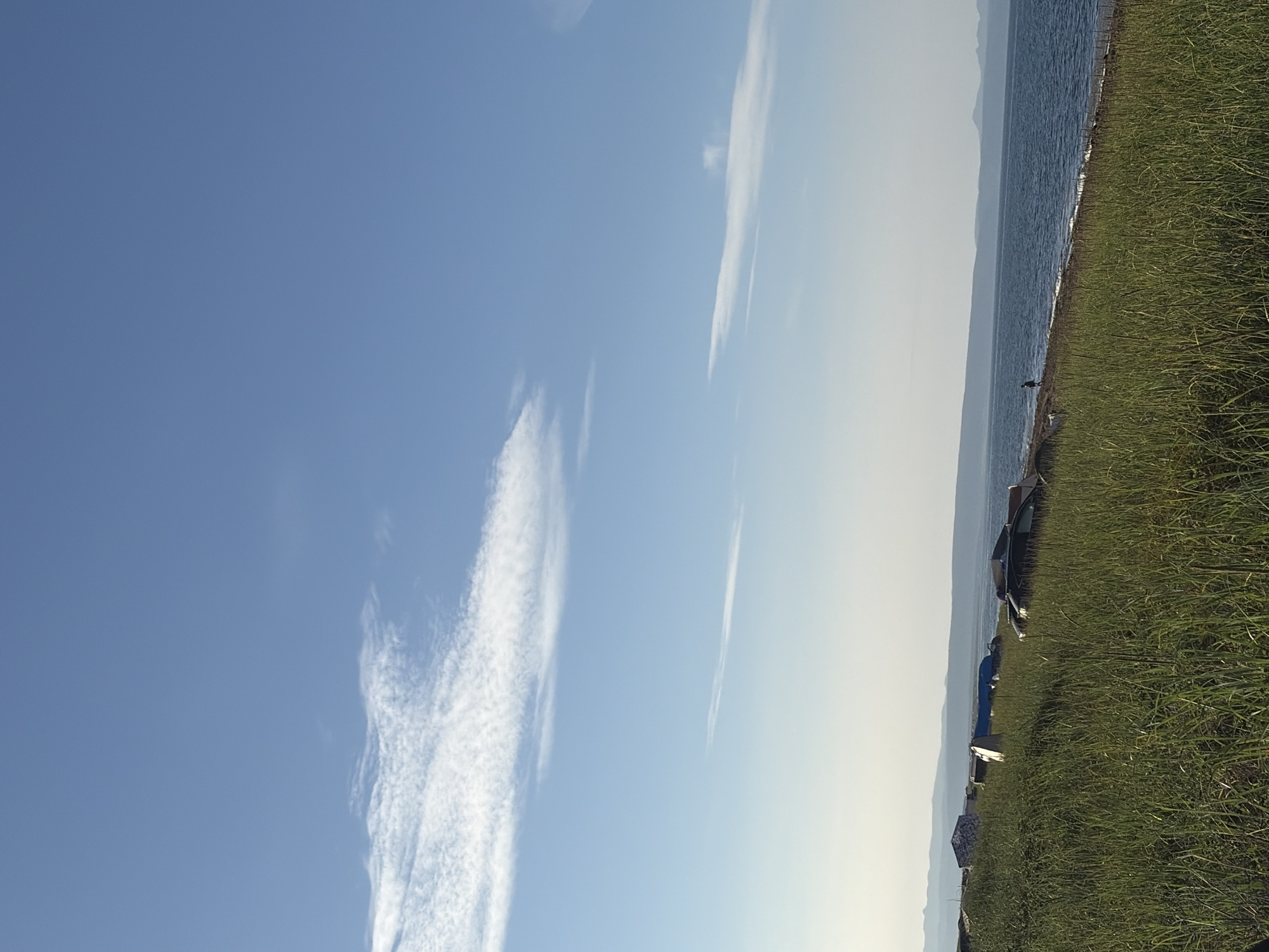 This is a landscape photograph taken on a sunny day in Ozerskoe, Russia. The image is divided into three horizontal sections: the sky, the sea, and the land. The sky is a clear, bright blue with a few wispy white clouds scattered across it. The sea is a deep blue and appears calm, with a distant shoreline visible on the horizon. The land is covered in tall, green grass and a few scattered objects. In the foreground, the grass is so tall that it obscures the ground. Among the grass, there are several objects that appear to be boats or shelters, some of which are overturned or partially covered. There are also at least two vehicles visible. Further back, closer to the sea, a single person can be seen walking along the shoreline. The overall impression is one of a quiet, somewhat secluded coastal area.